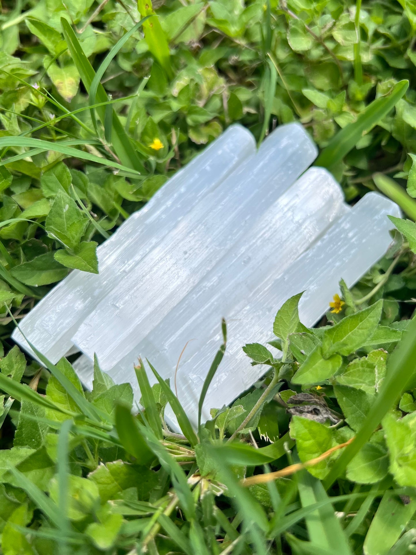 Mini Selenite Sticks