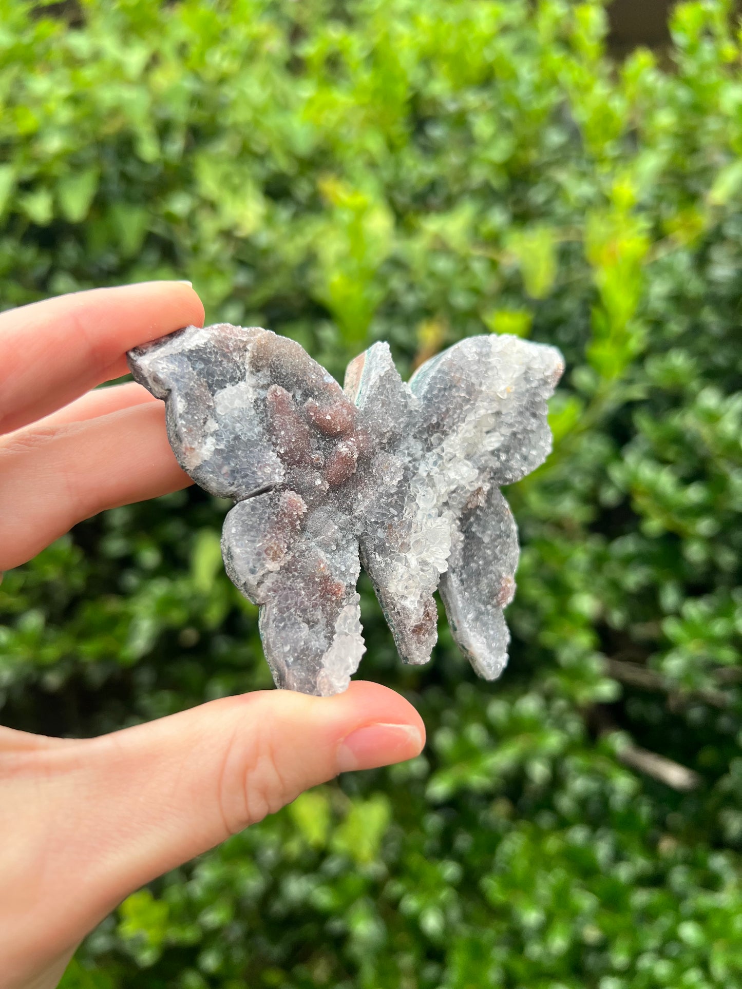 Zeolite Butterflies