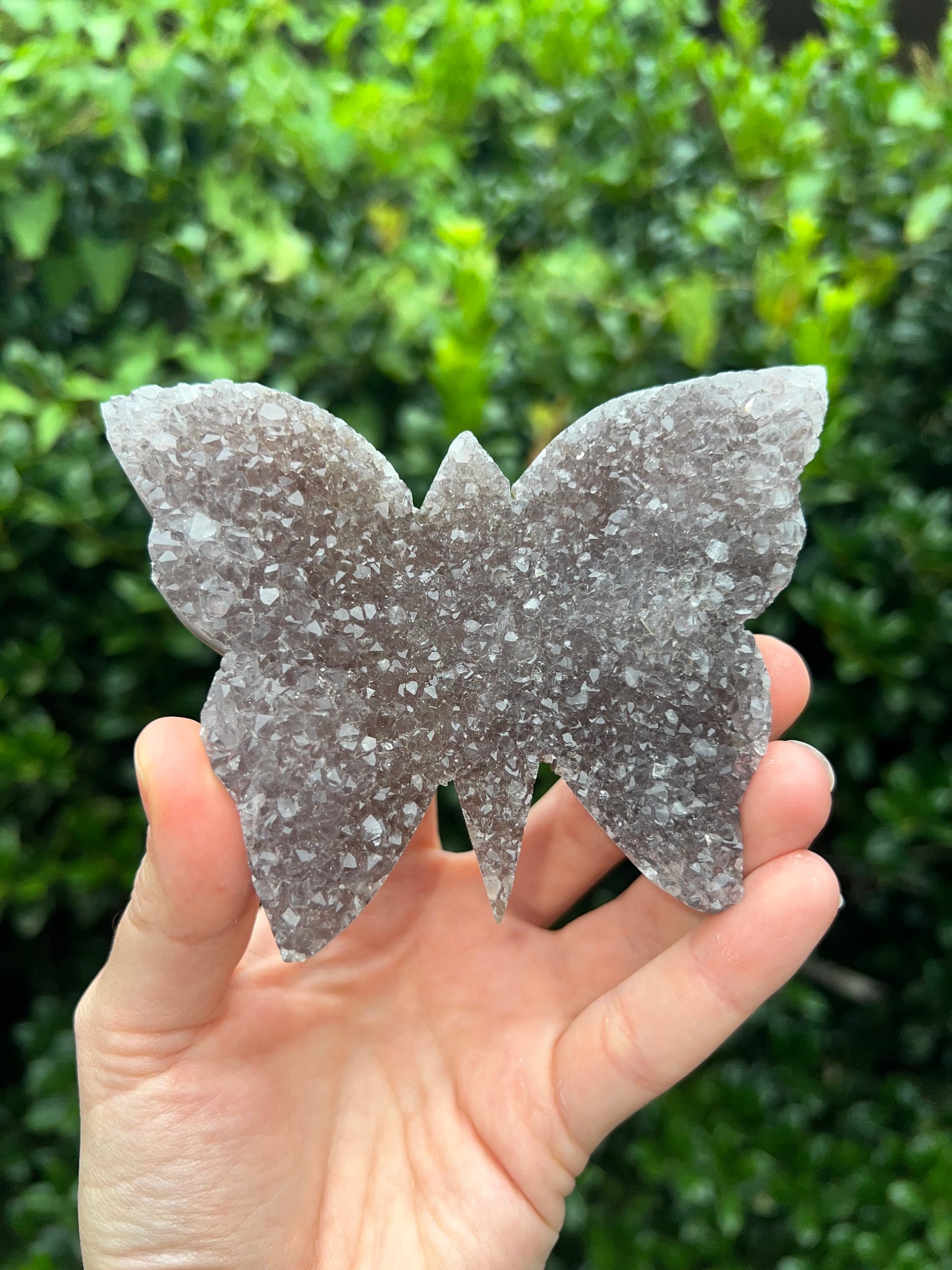 Zeolite Butterflies