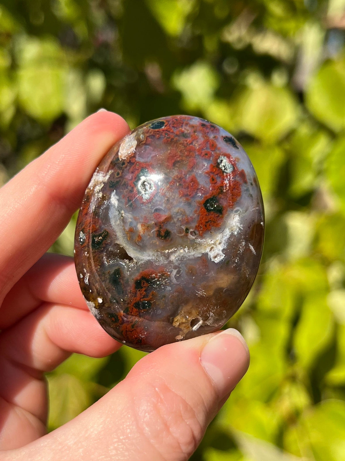 Ocean Jasper Palm Stones