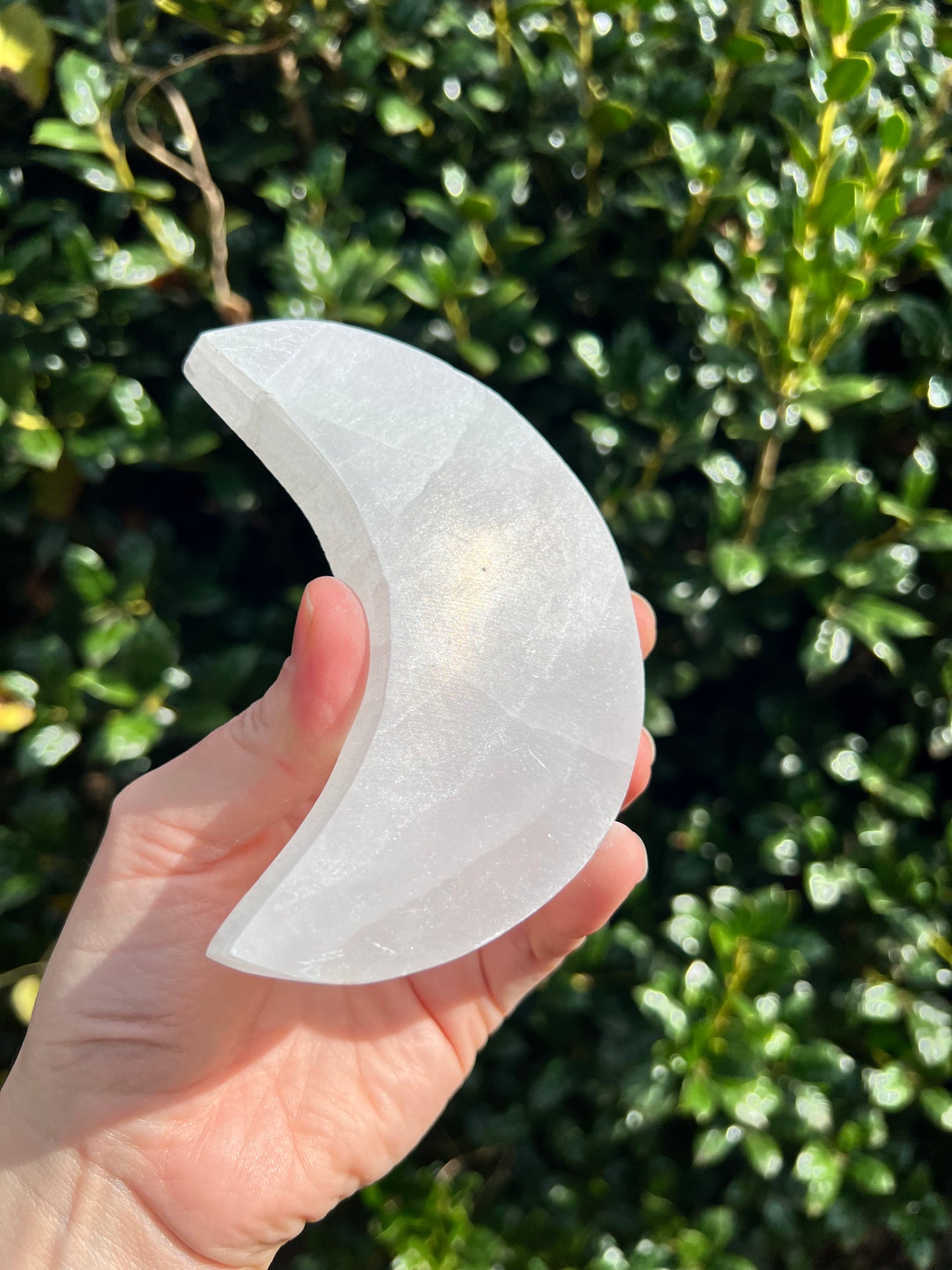 Selenite Flower of Life Moons