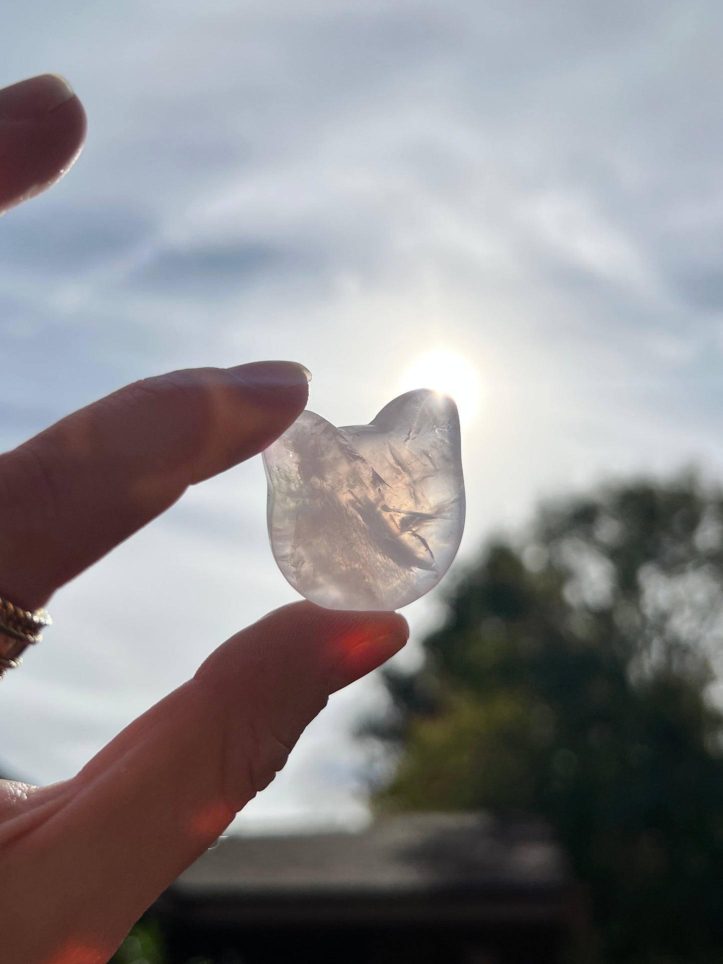 Rose Quartz Cat Heads