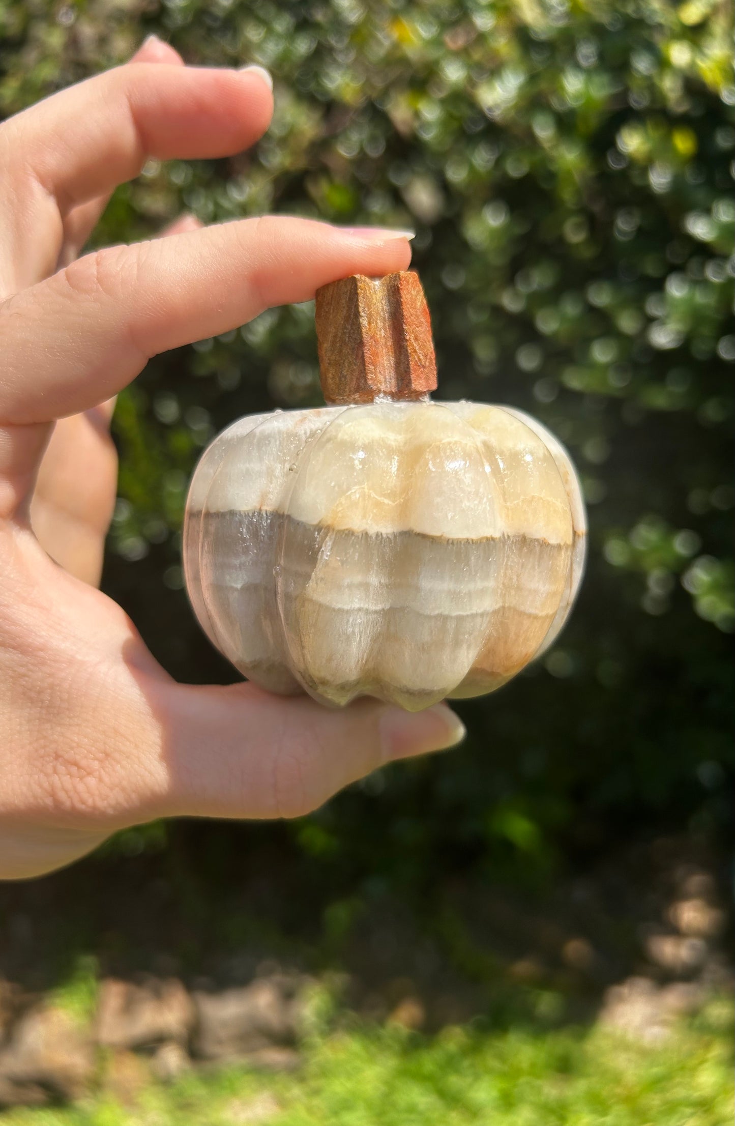 Onyx Pumpkins