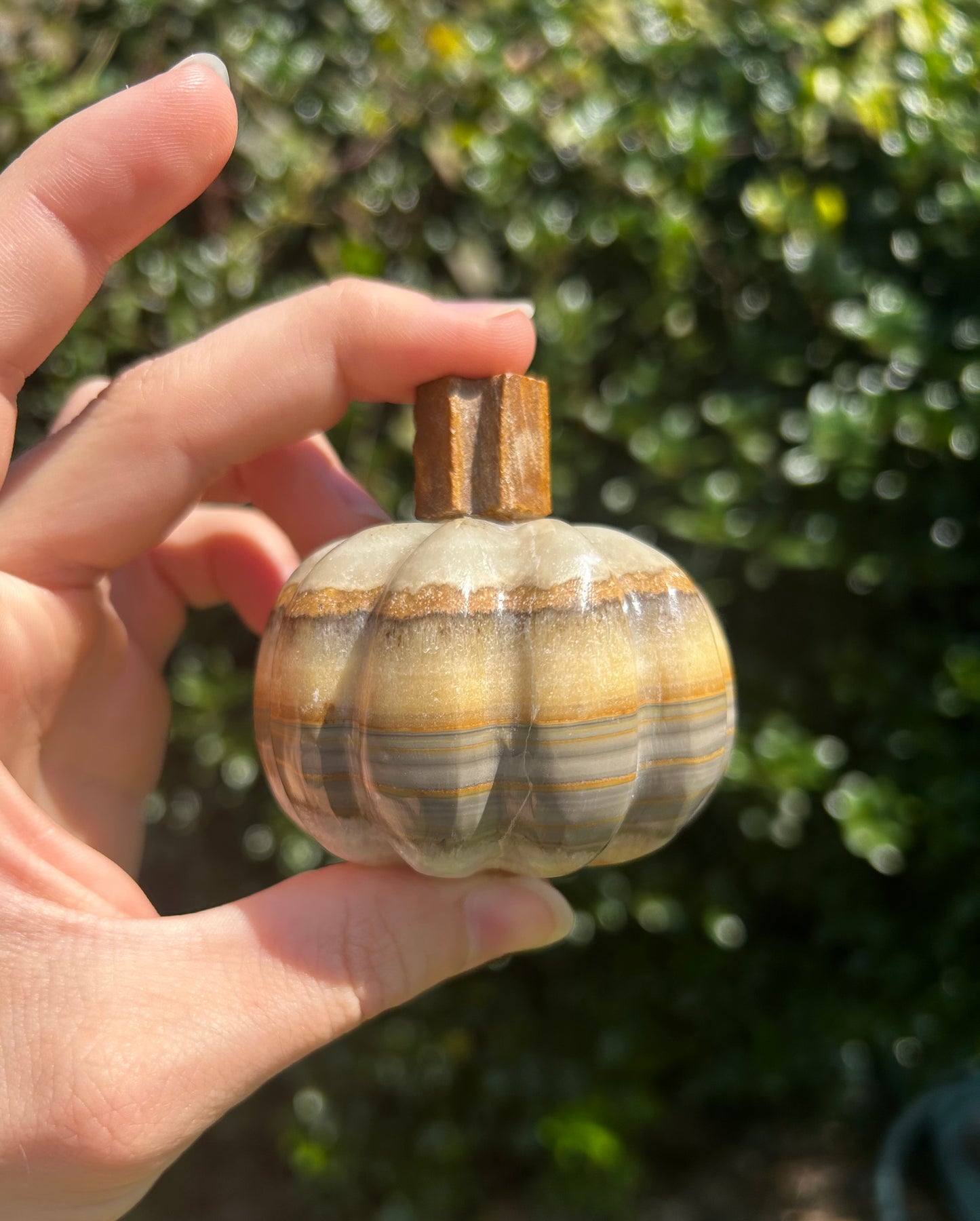 Onyx Pumpkins