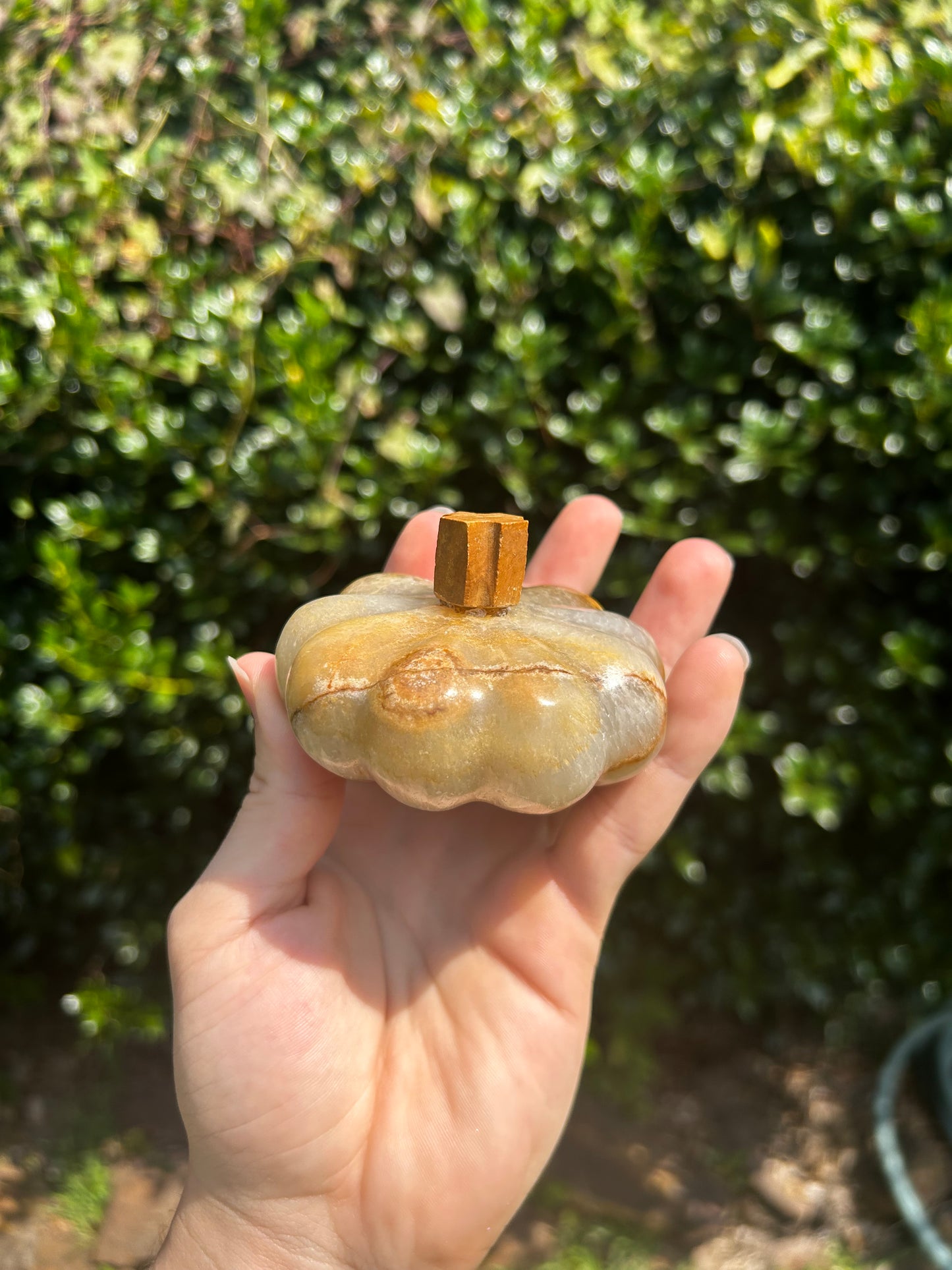 Onyx Pumpkins