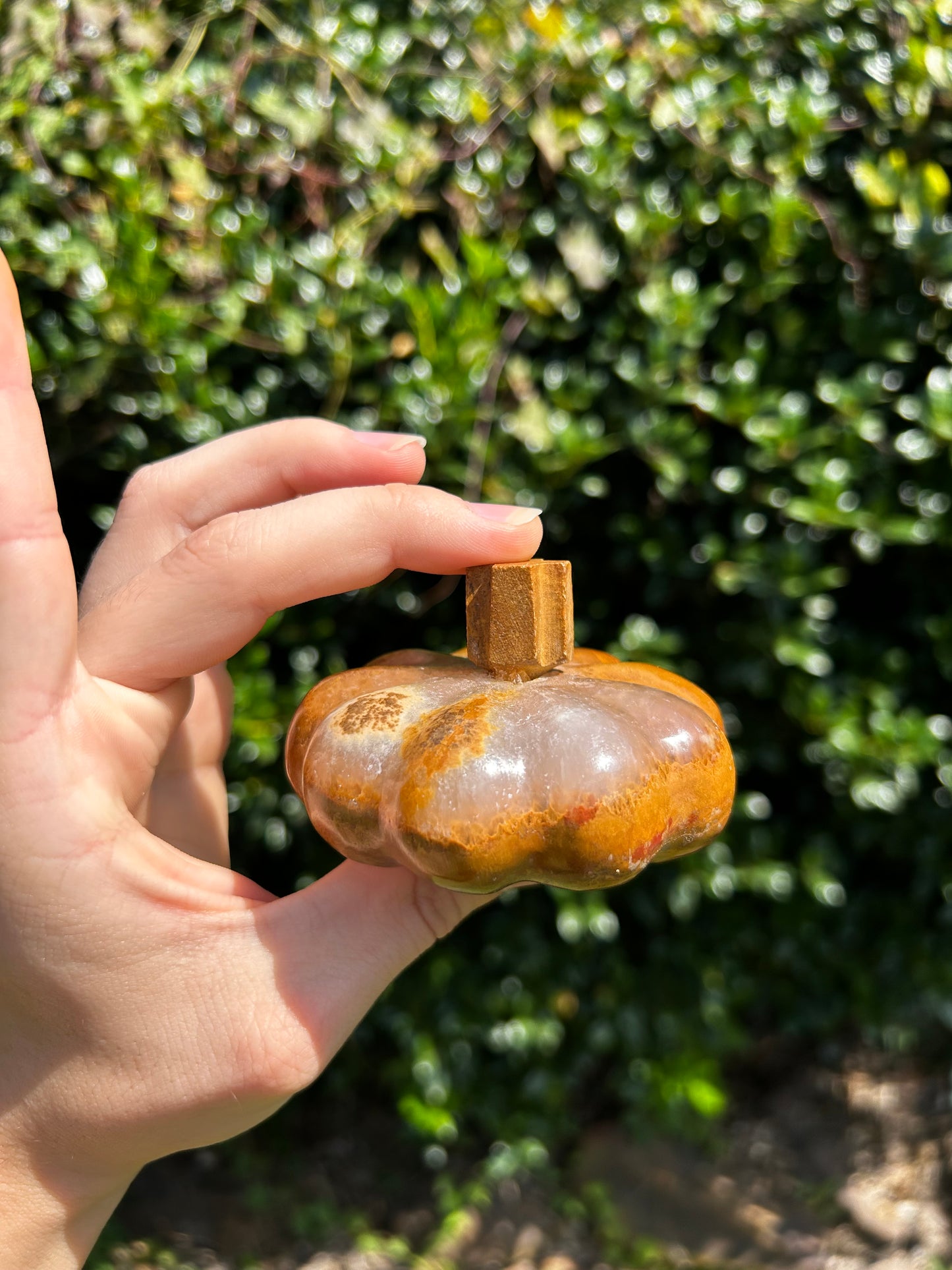 Onyx Pumpkins