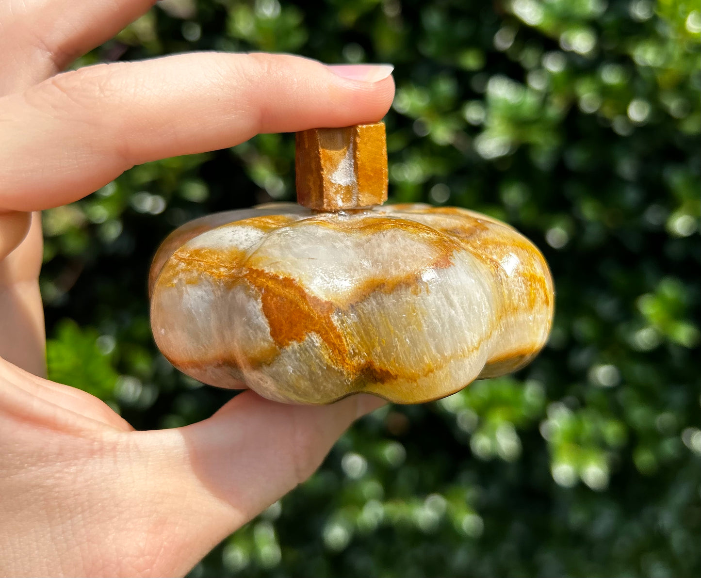Onyx Pumpkins