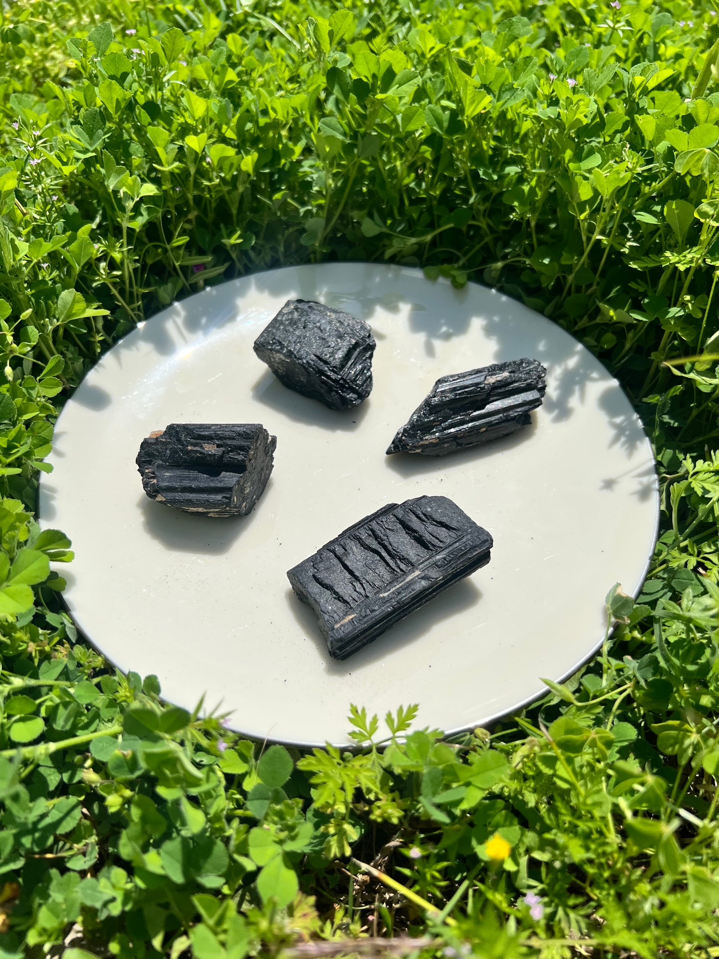 Black Tourmaline Specimens