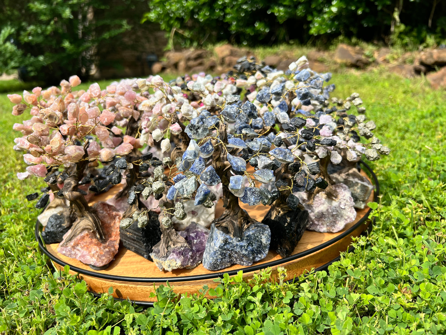 Crystal Trees