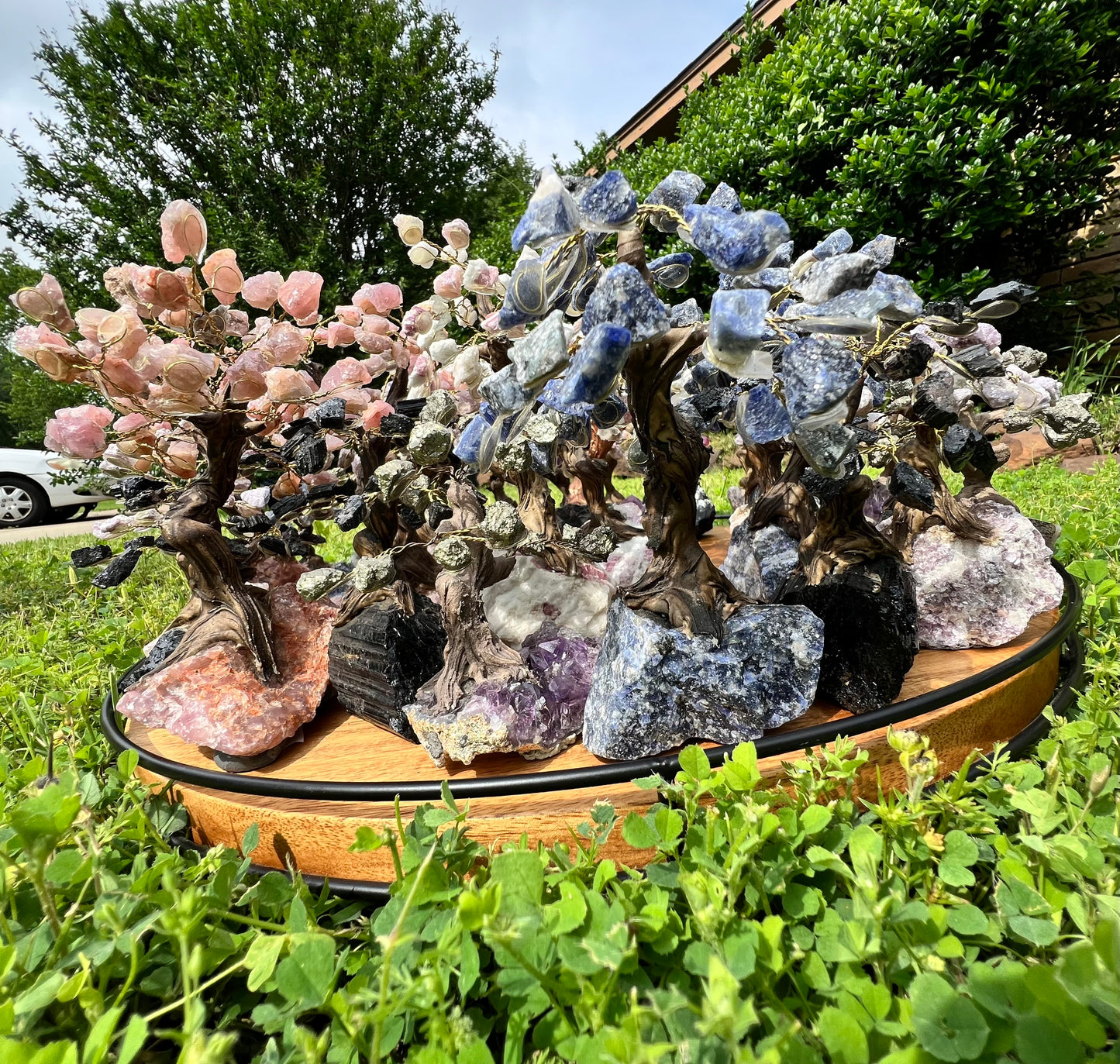 Crystal Trees