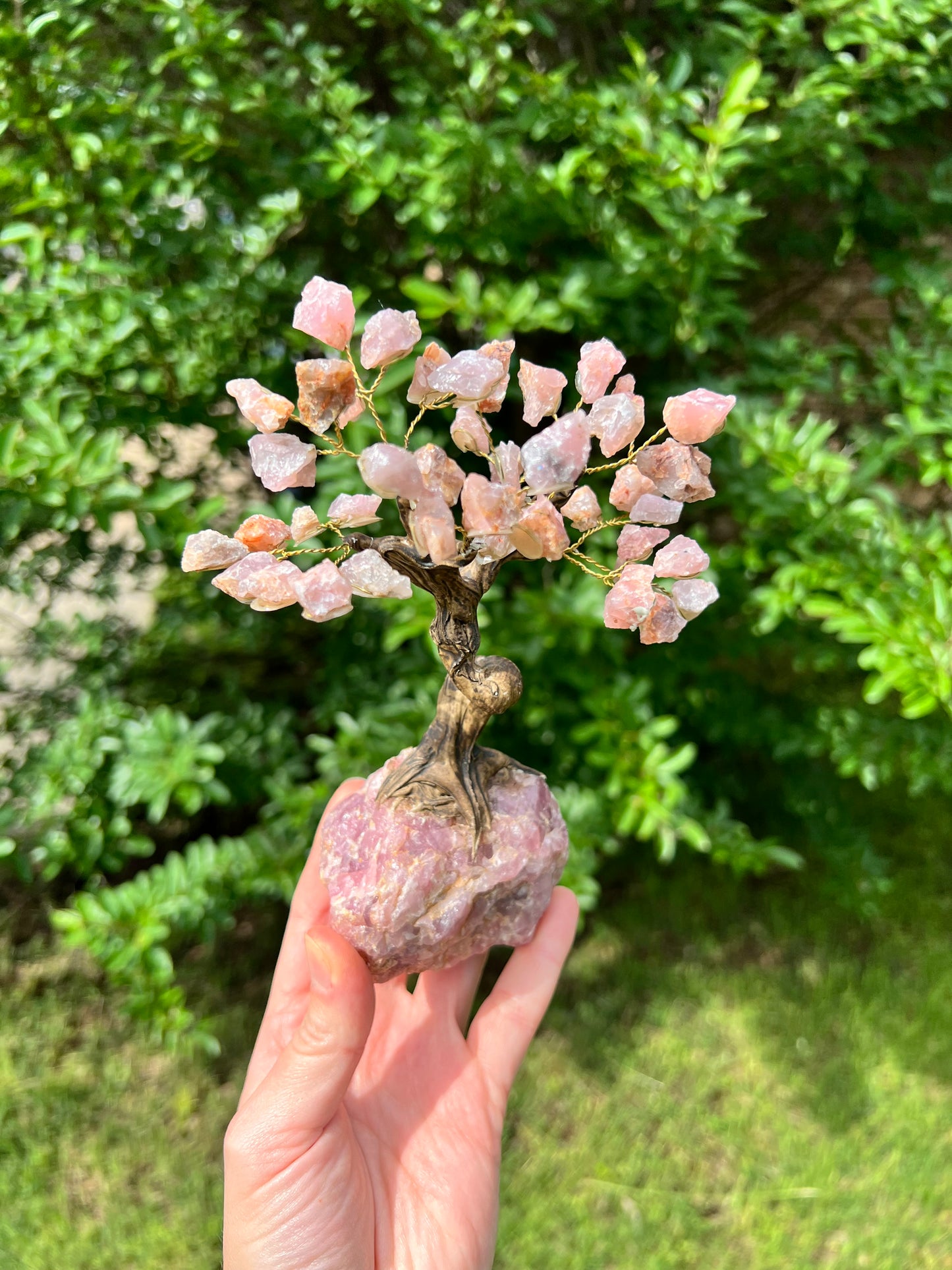 Crystal Trees