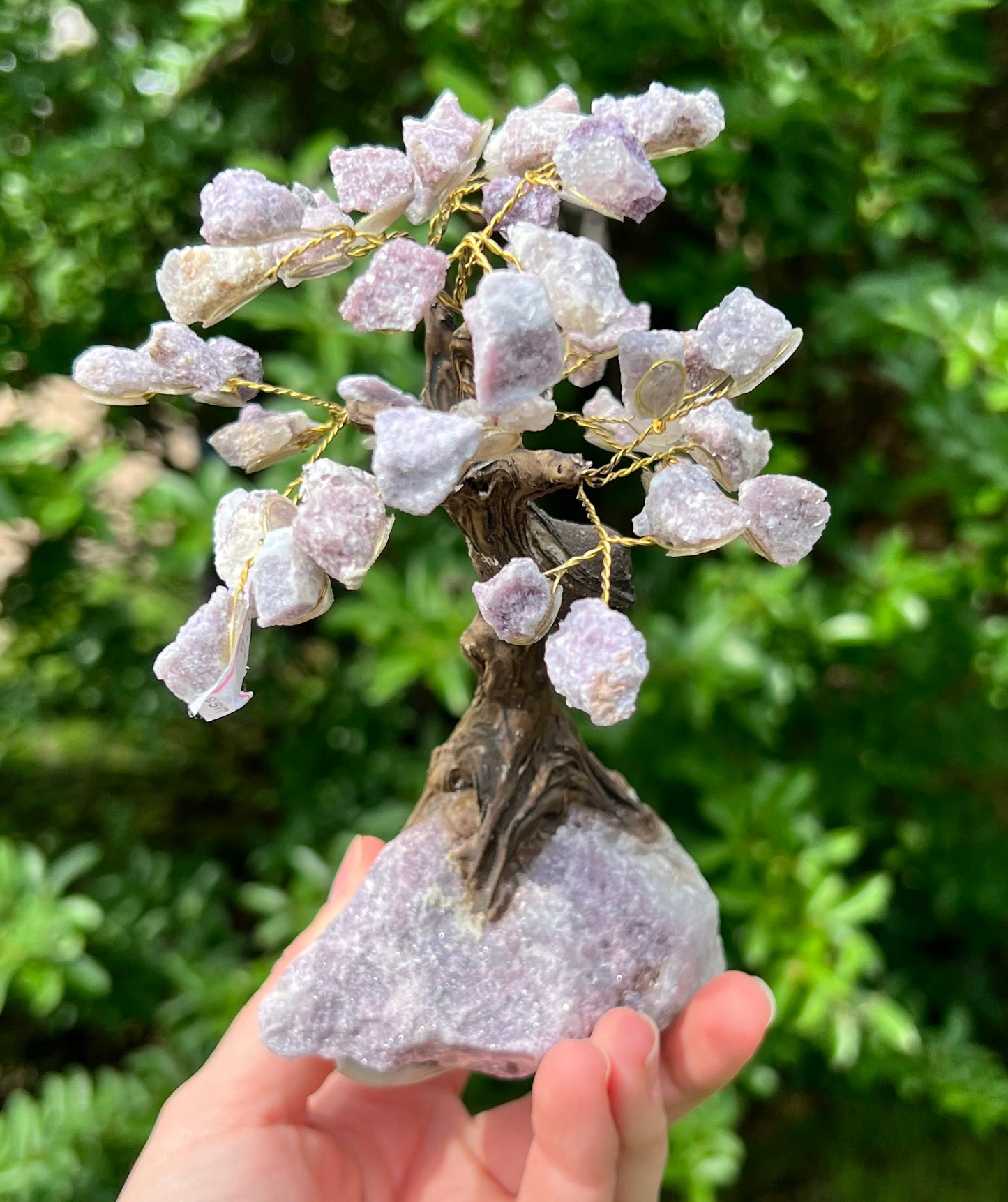 Crystal Trees
