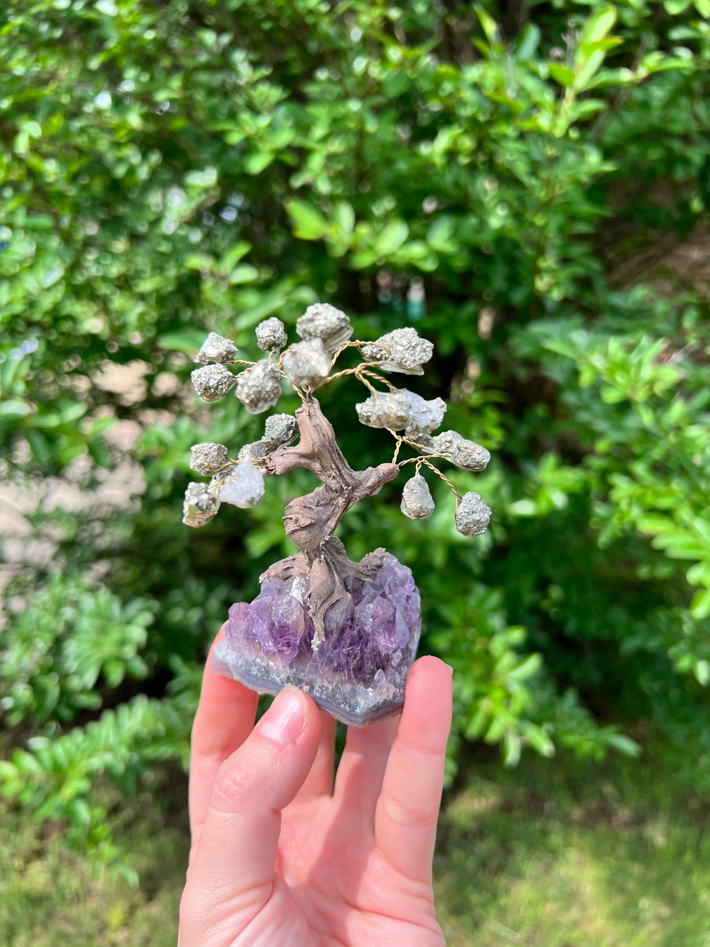 Crystal Trees