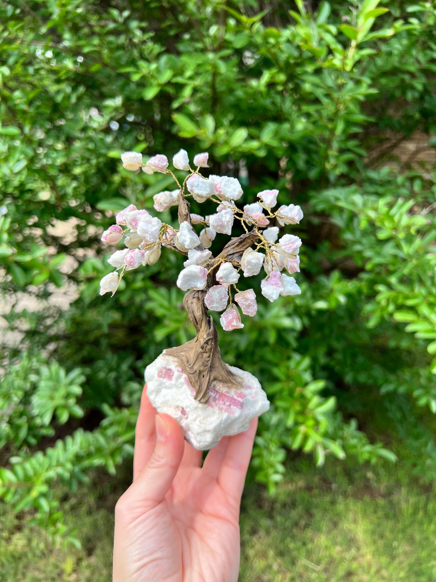 Crystal Trees