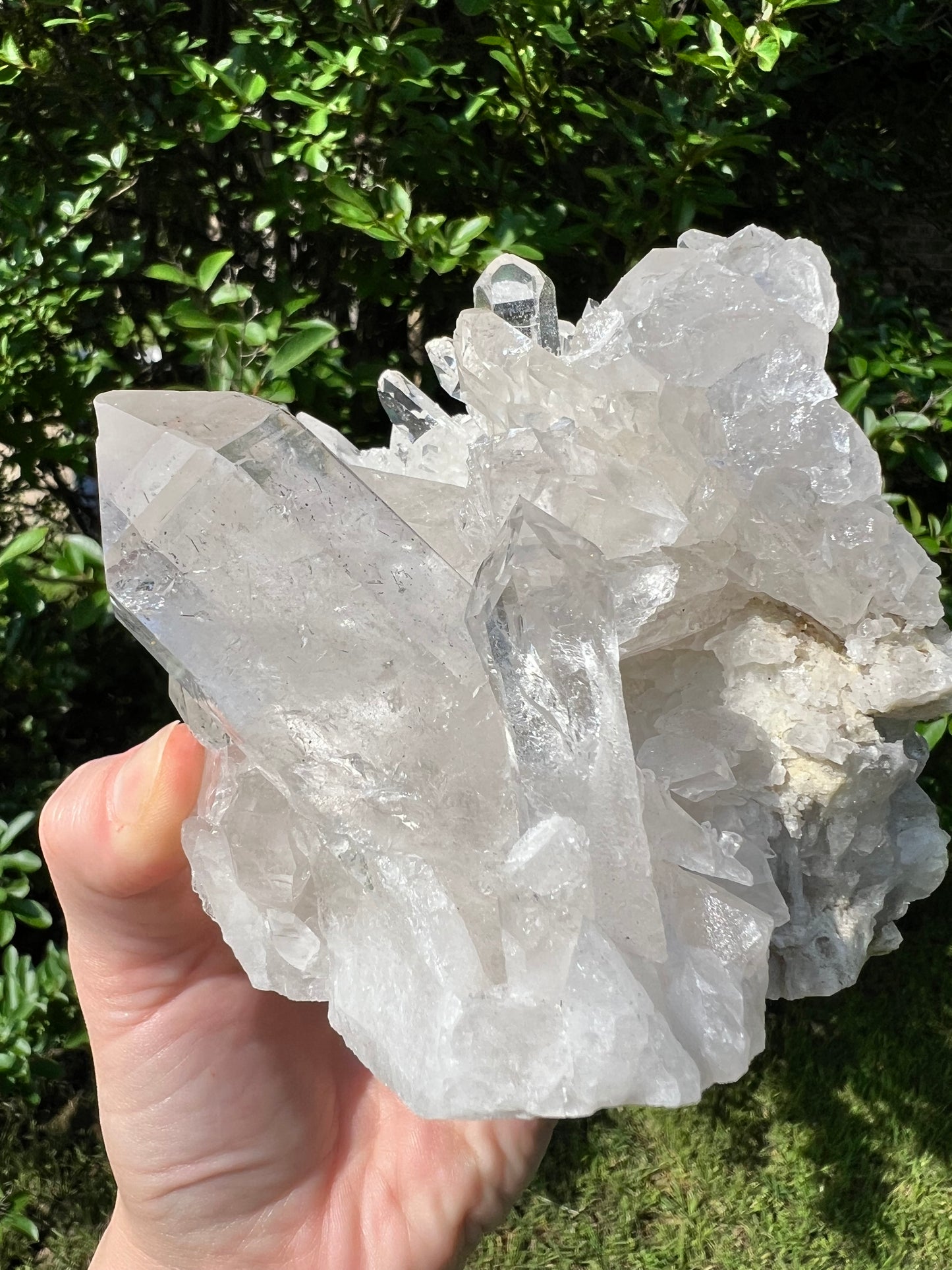 Clear Quartz Cluster