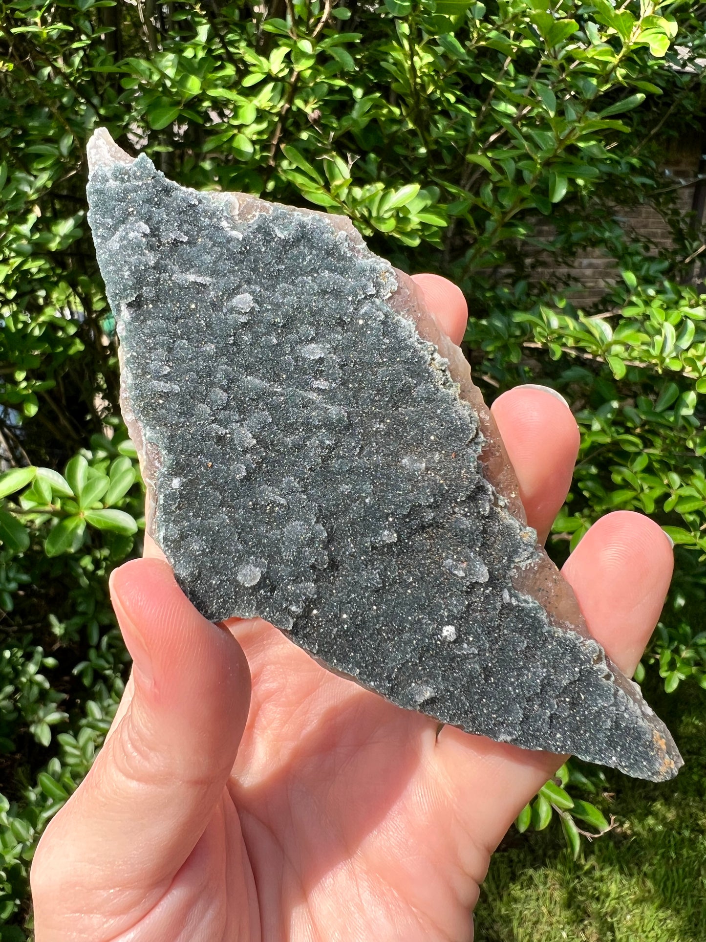 Green Amethyst Freeforms