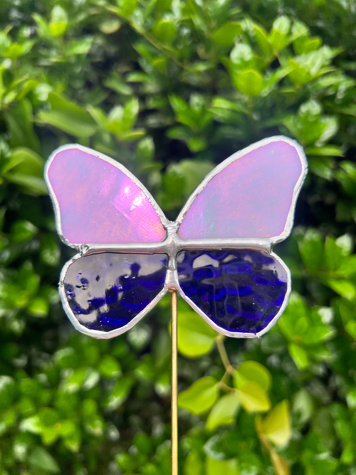 Stained Glass Butterfly Plant Stakes