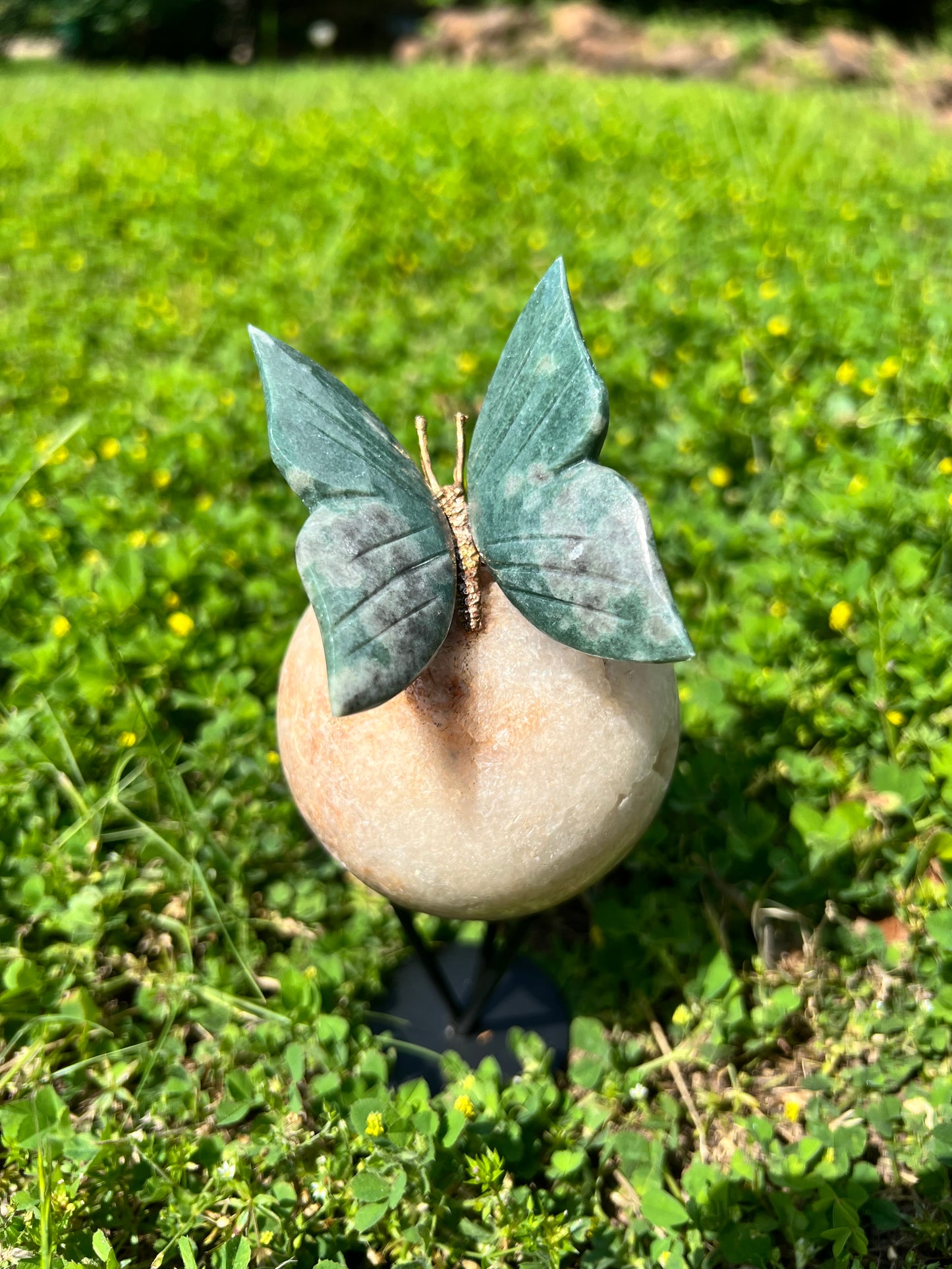 Crystal Butterflies on Spheres