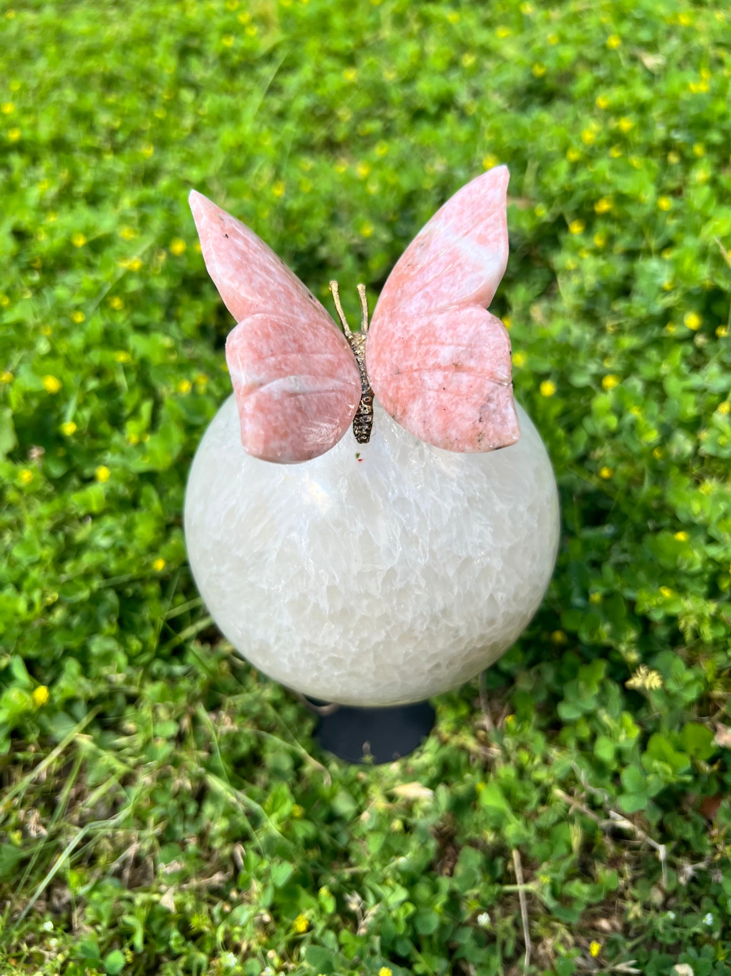 Crystal Butterflies on Spheres