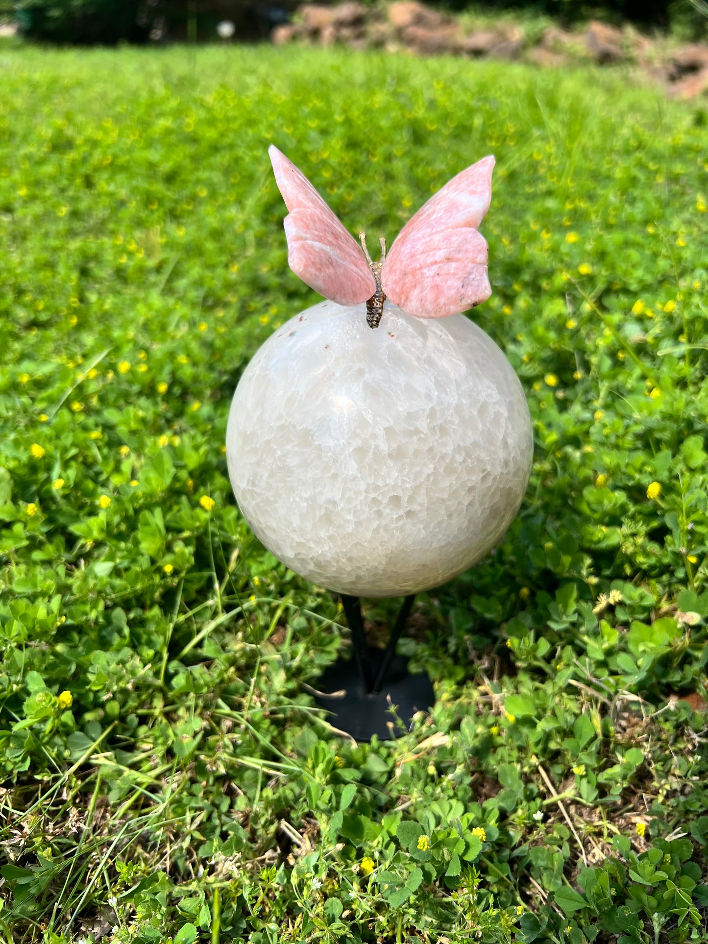 Crystal Butterflies on Spheres
