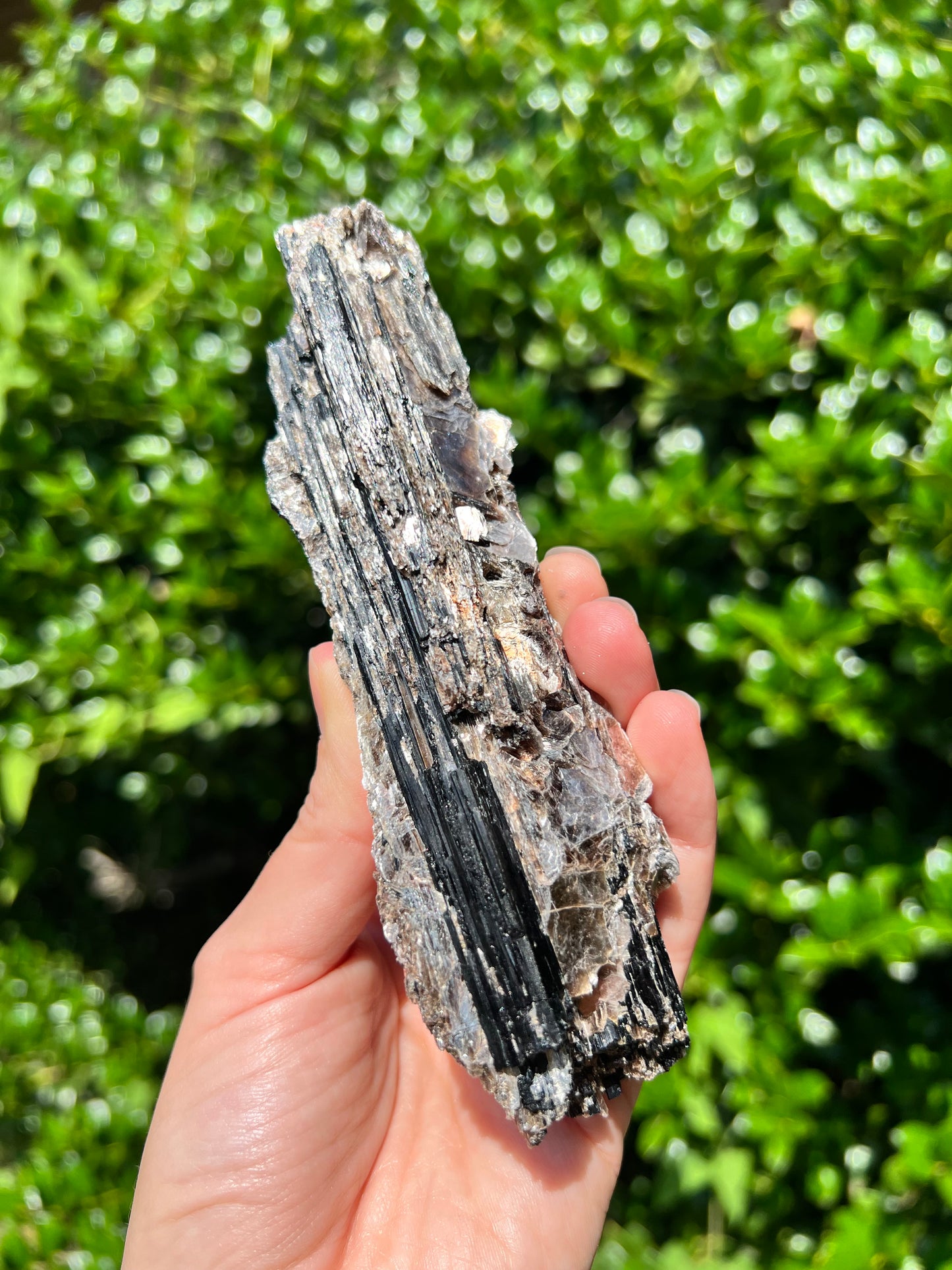 Black Tourmaline with Mica Freeforms