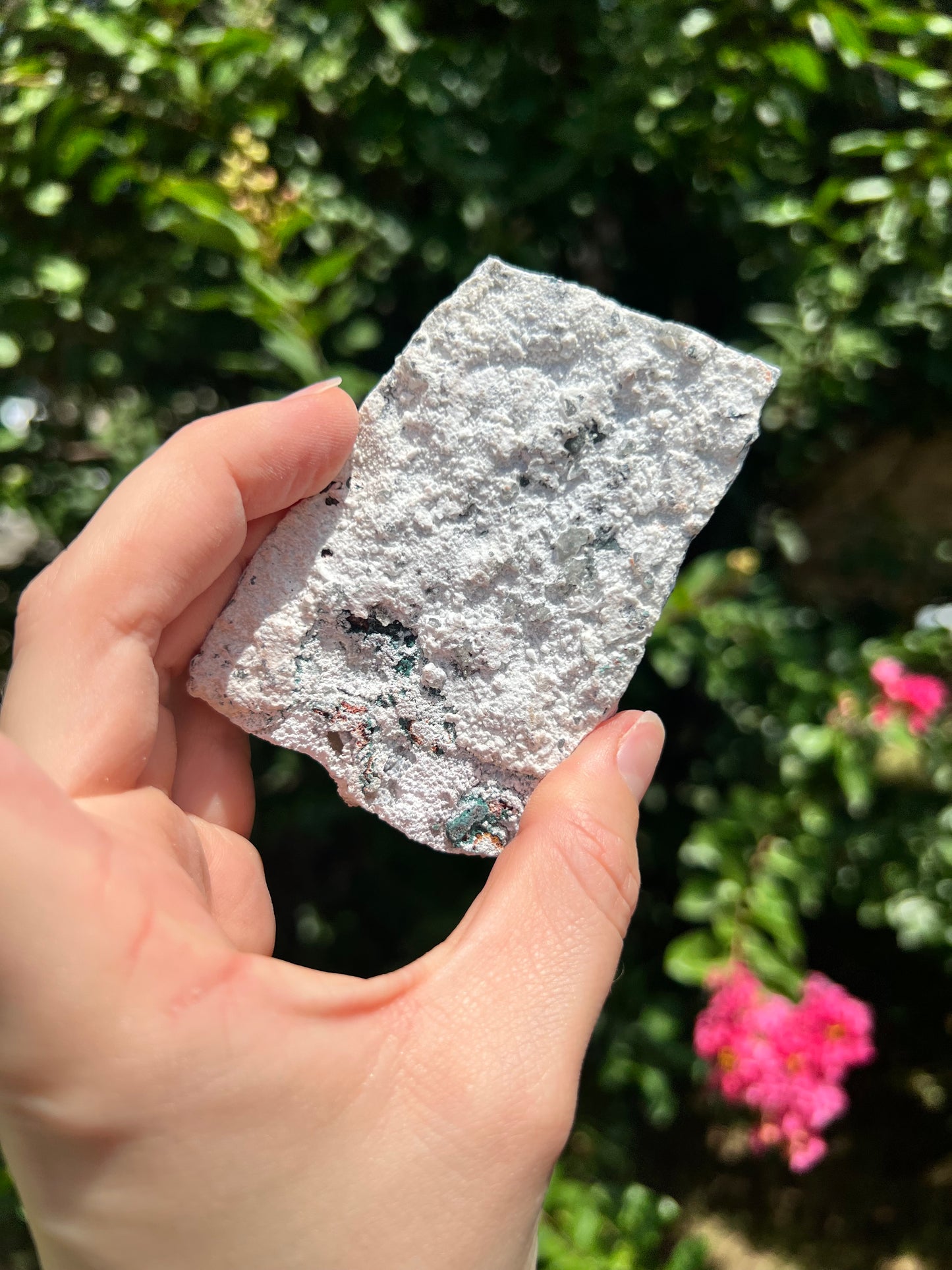 Formas libres de zeolita