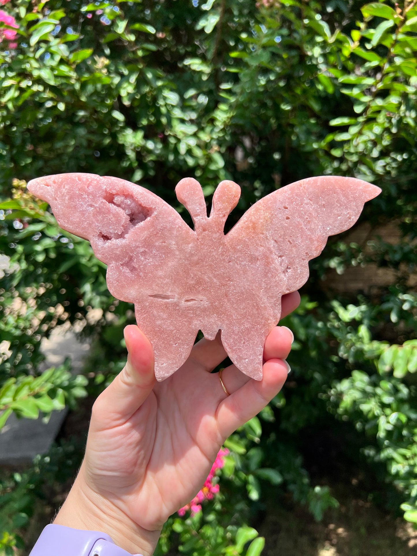 Mariposas de color rosa amatista