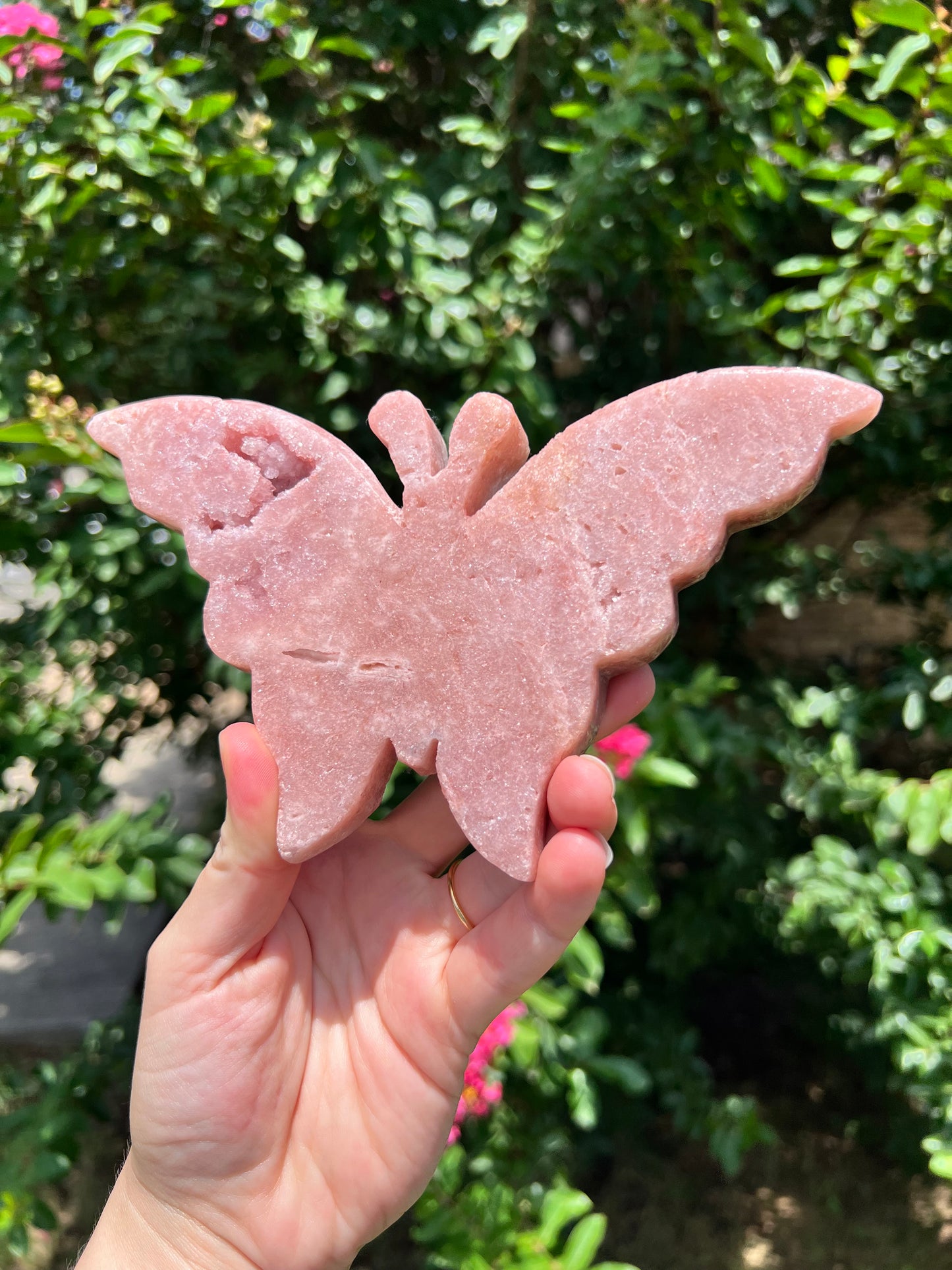 Mariposas de color rosa amatista