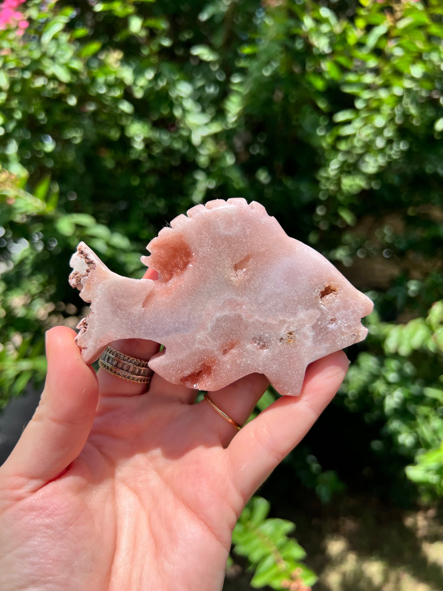 Pink Amethyst Fish