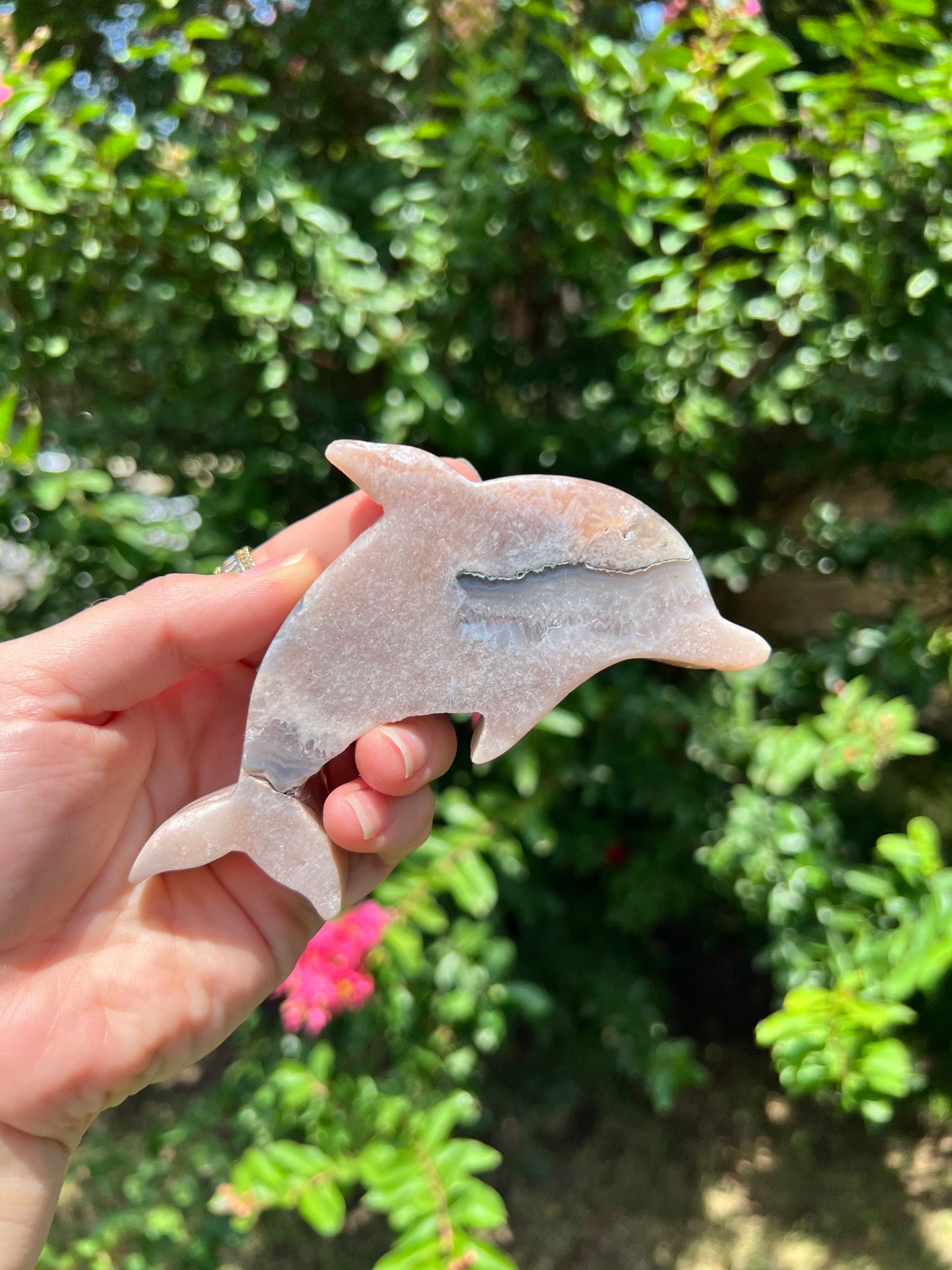 Pink Amethyst Fish