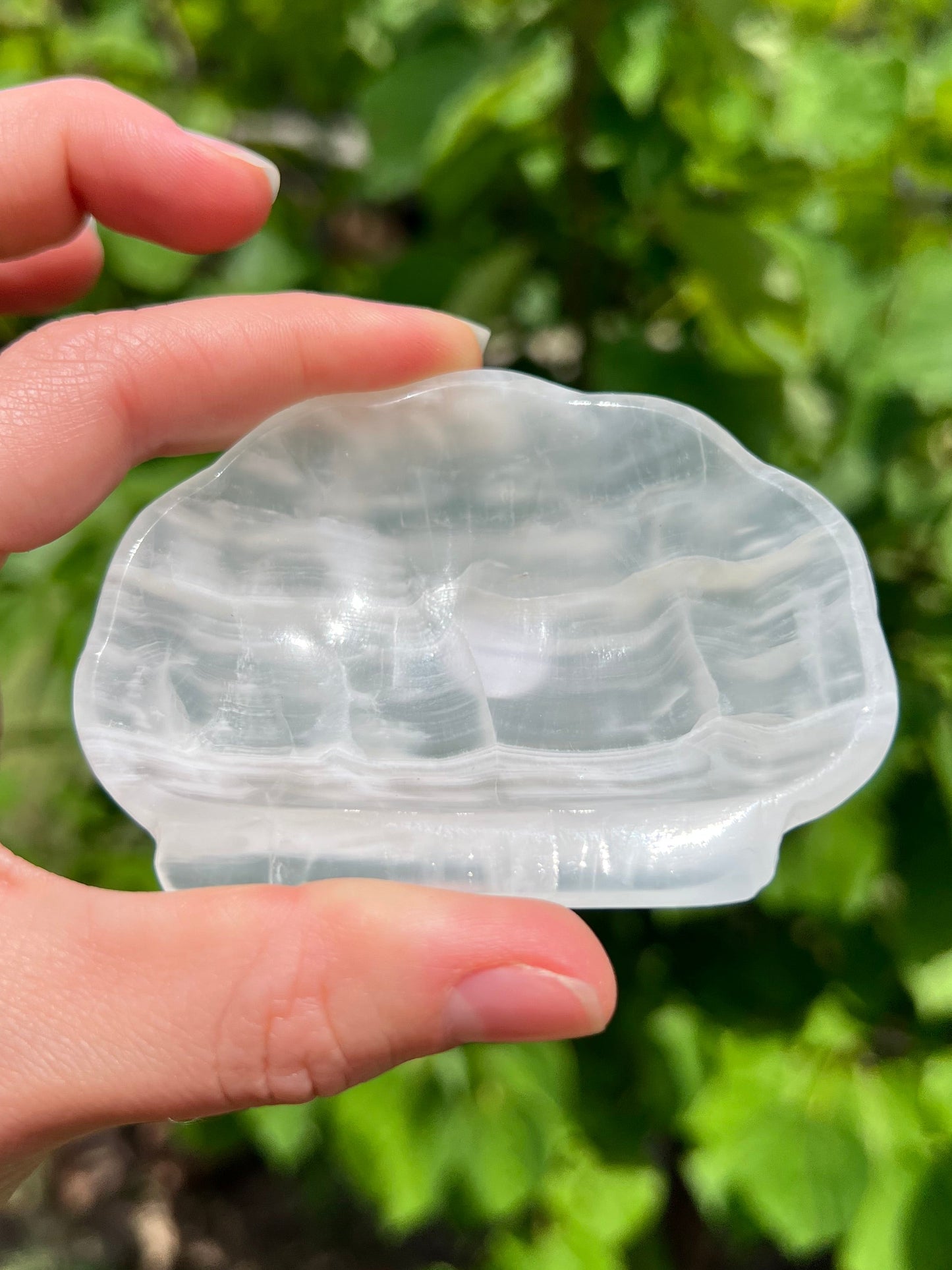Onyx Seashell Dishes