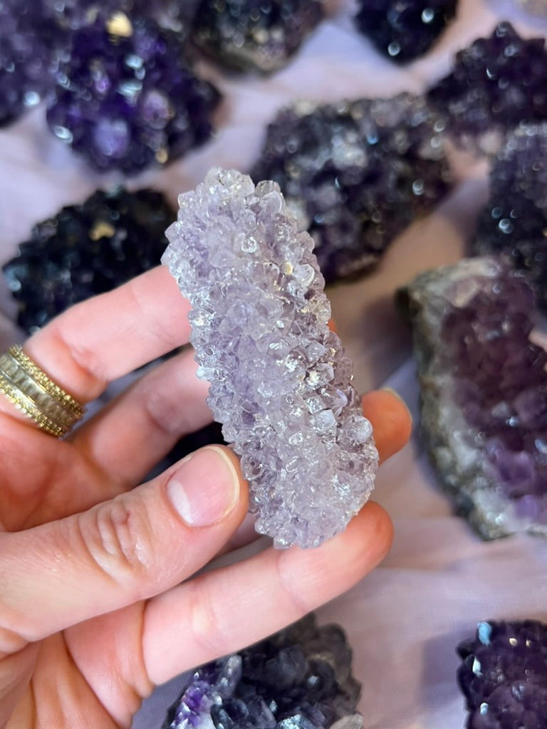 Amethyst Pines