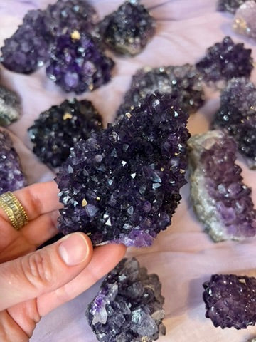 Amethyst Pines