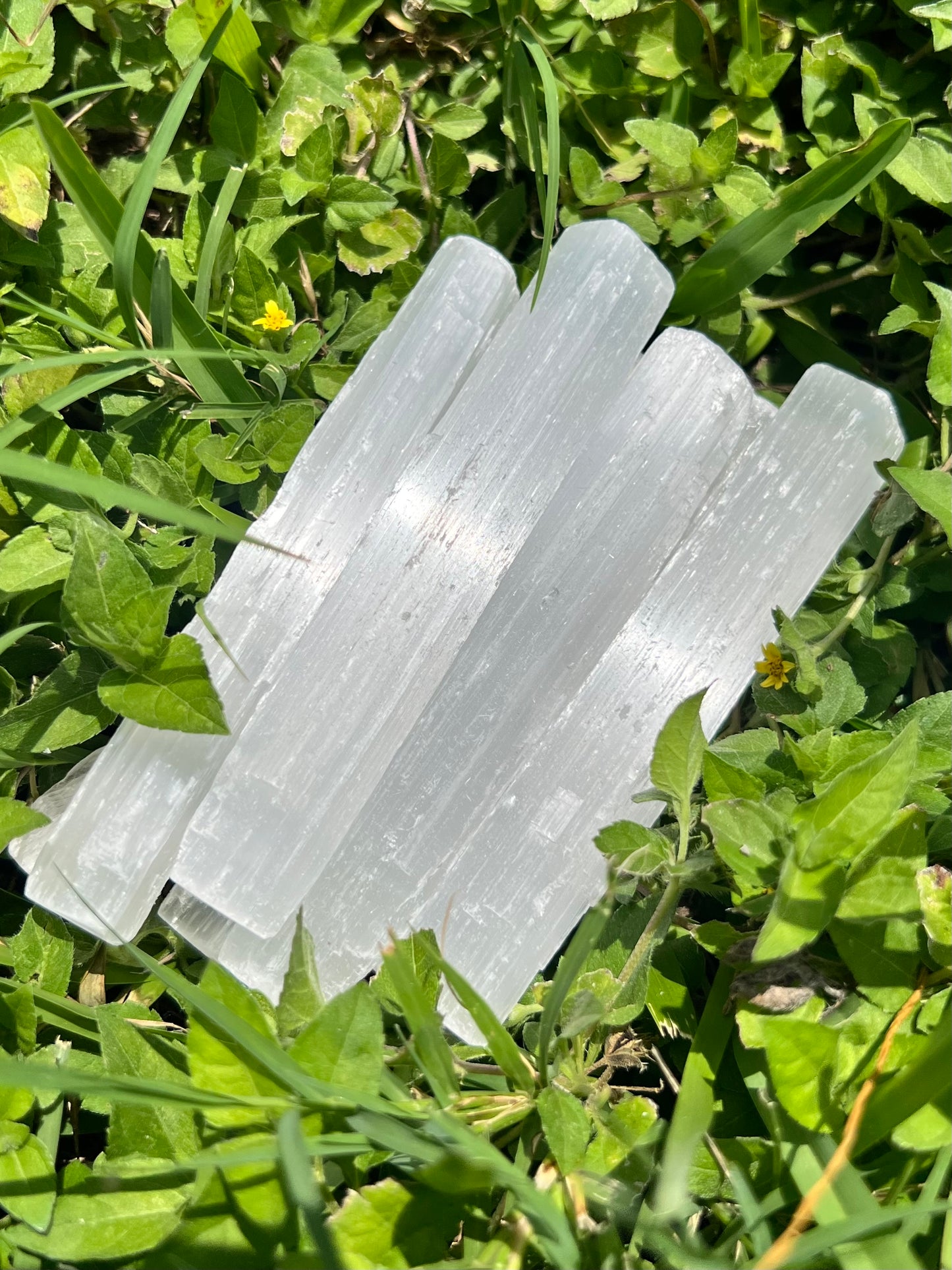 Mini Selenite Sticks