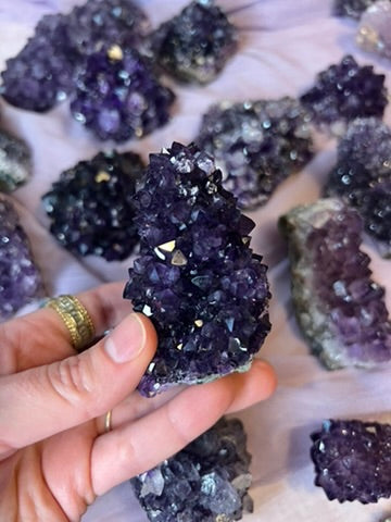 Amethyst Pines