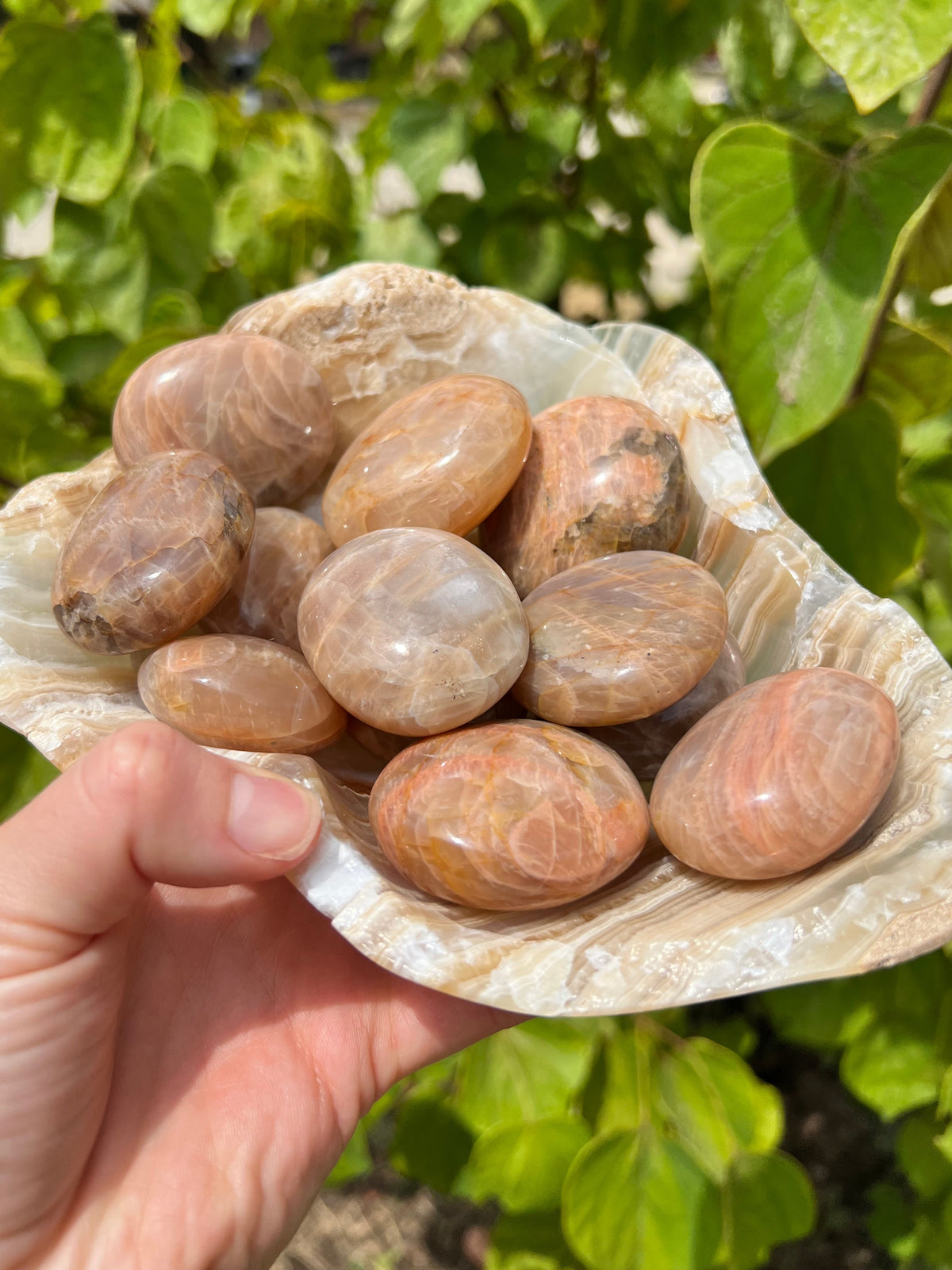 Peach Moonstone Palm Stones