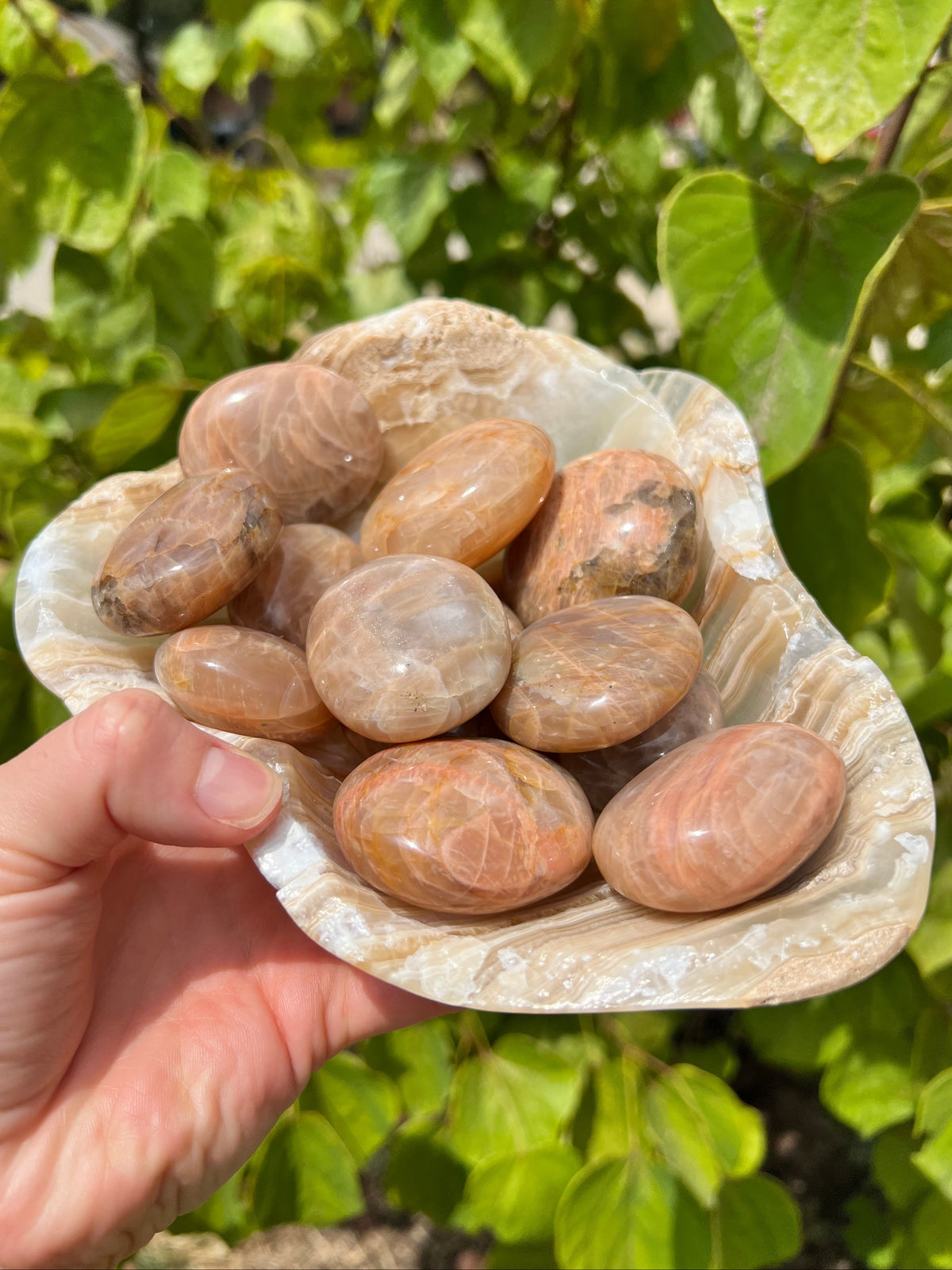 Peach Moonstone Palm Stones