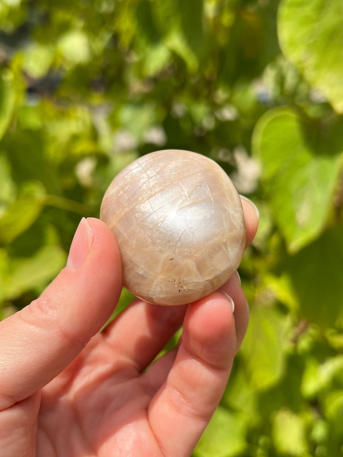 Peach Moonstone Palm Stones