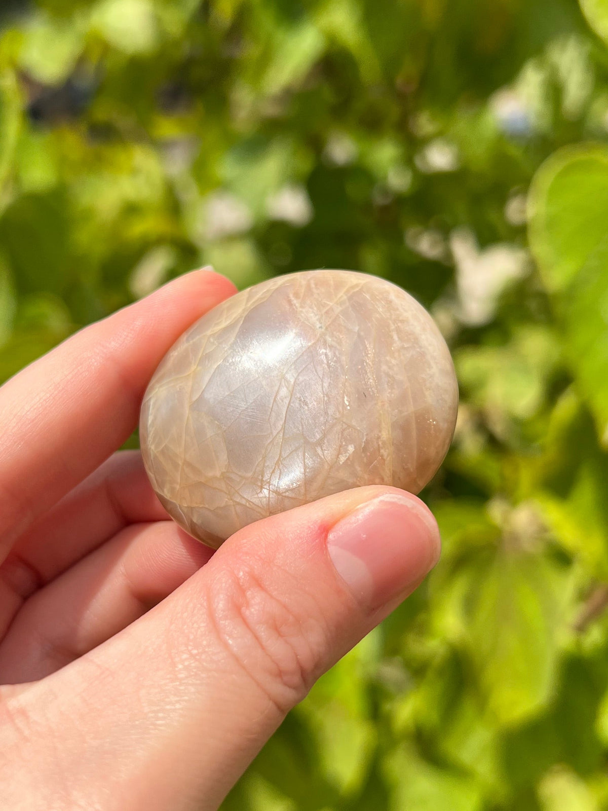 Peach Moonstone Palm Stones