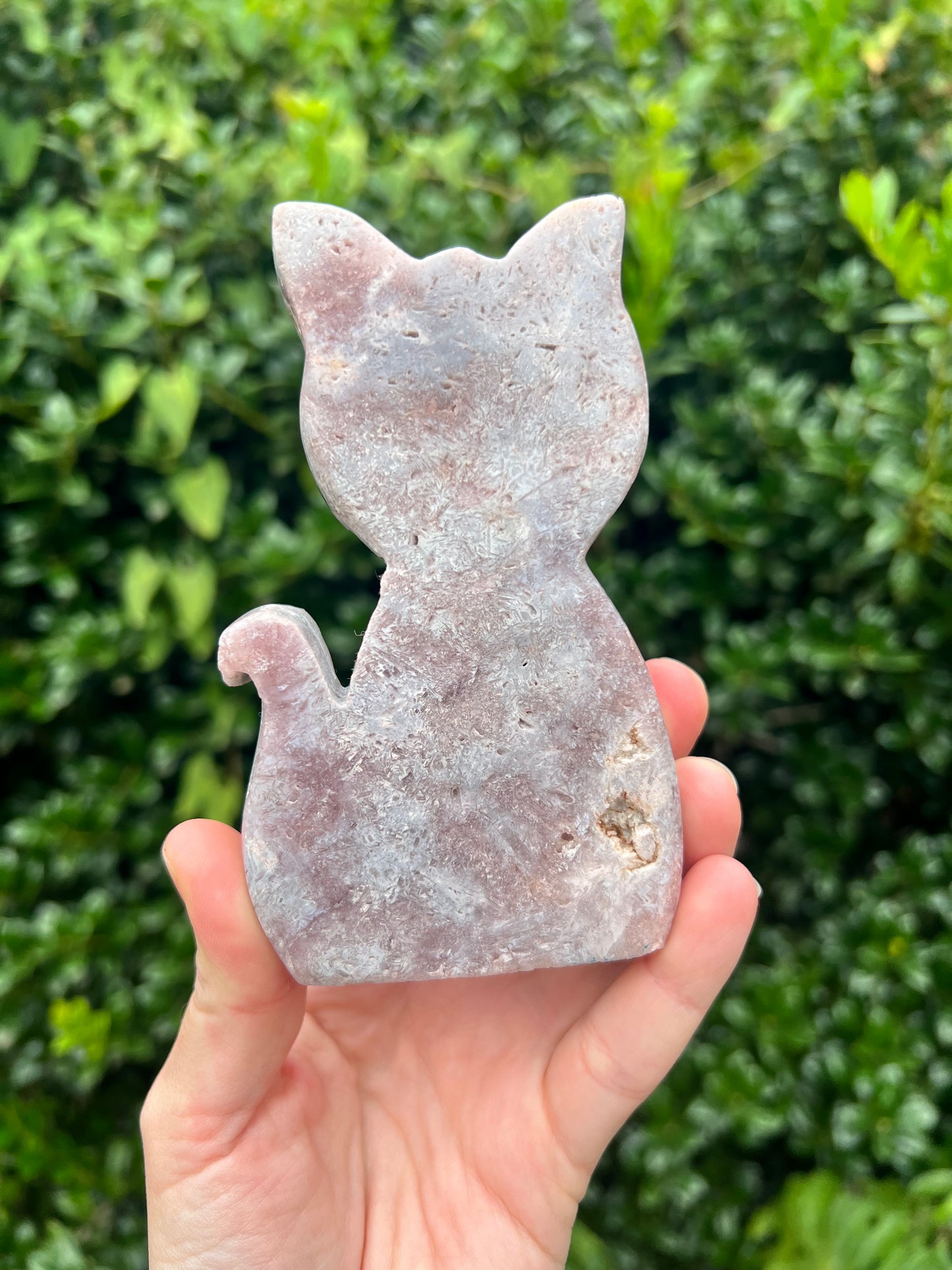 粉红紫水晶猫