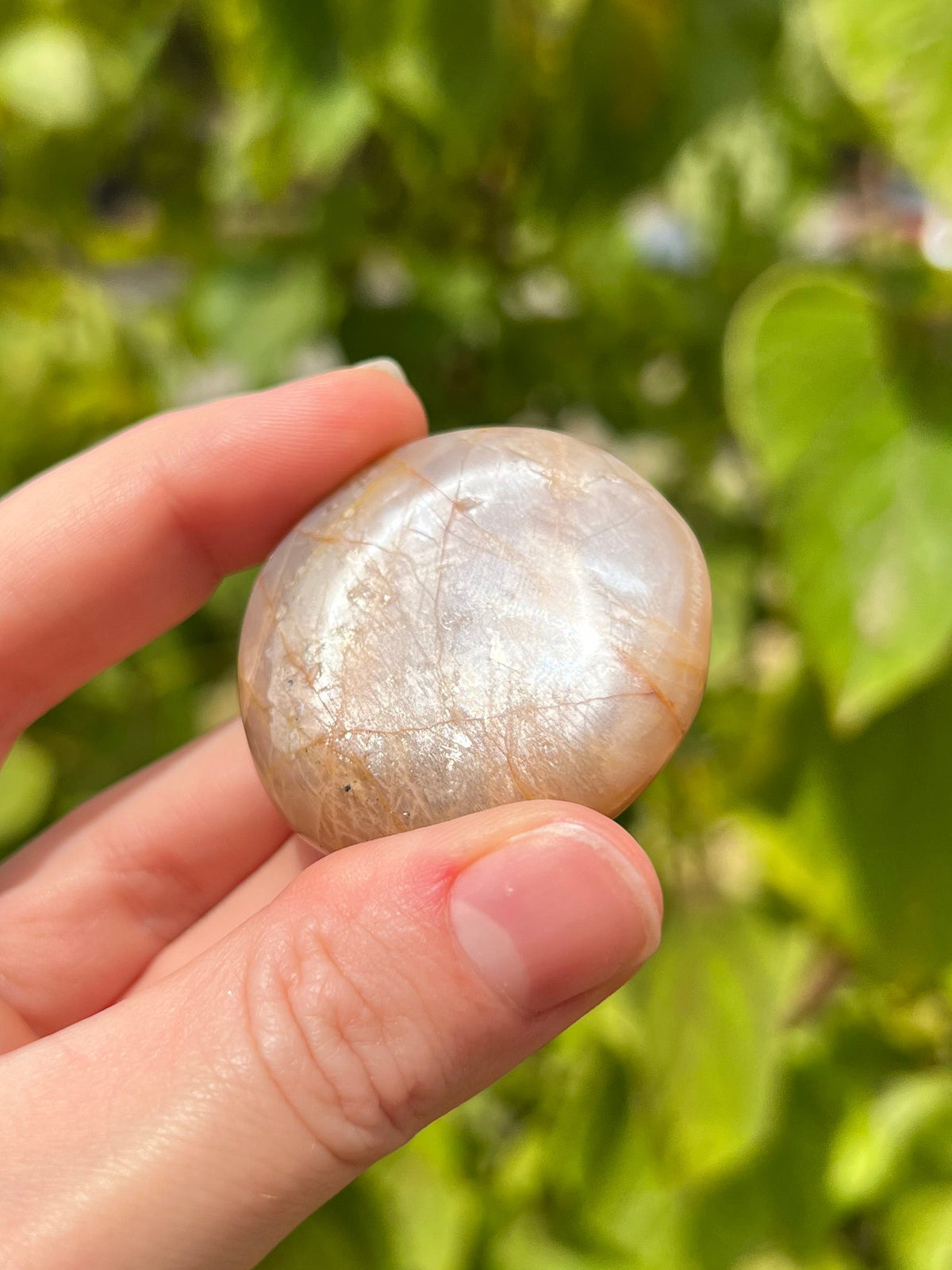 Peach Moonstone Palm Stones