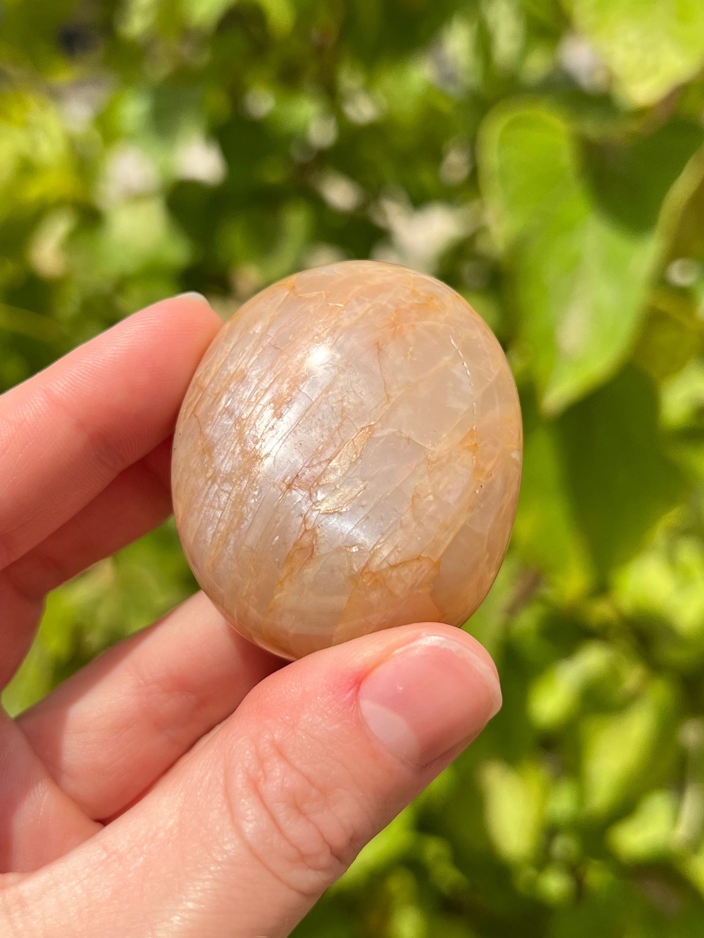 Peach Moonstone Palm Stones