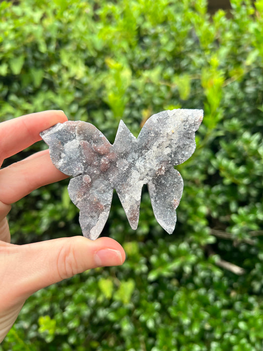 Zeolite Butterflies