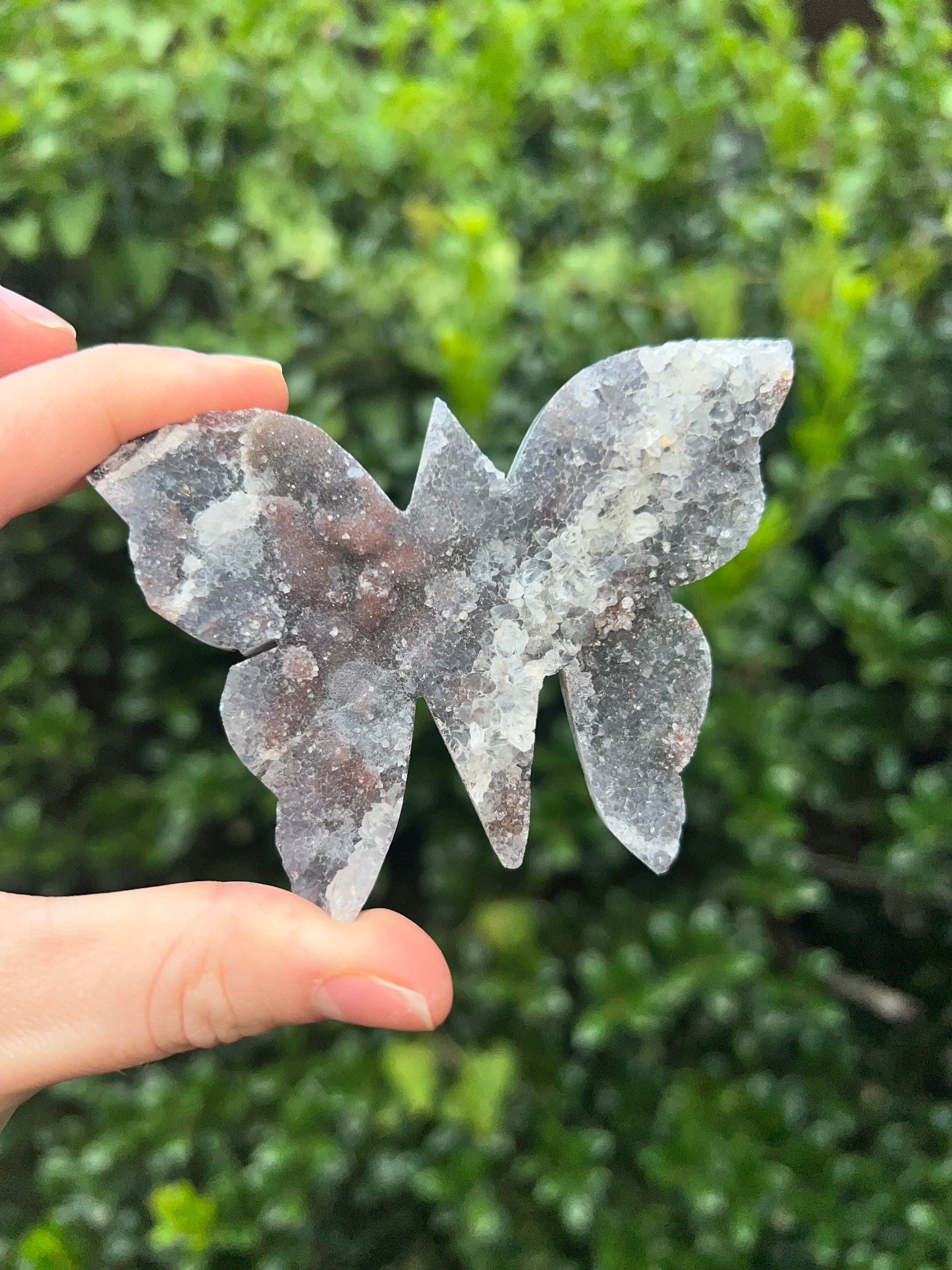 Zeolite Butterflies