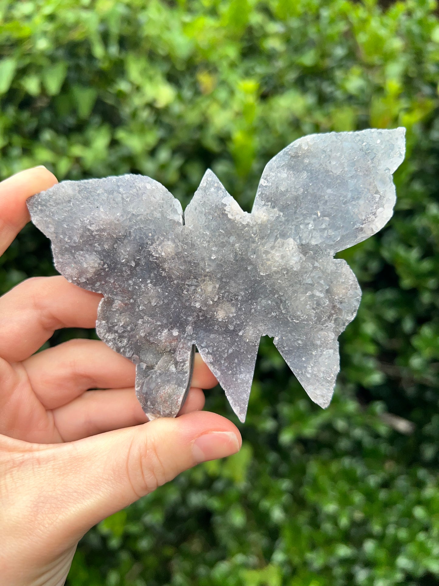 Zeolite Butterflies