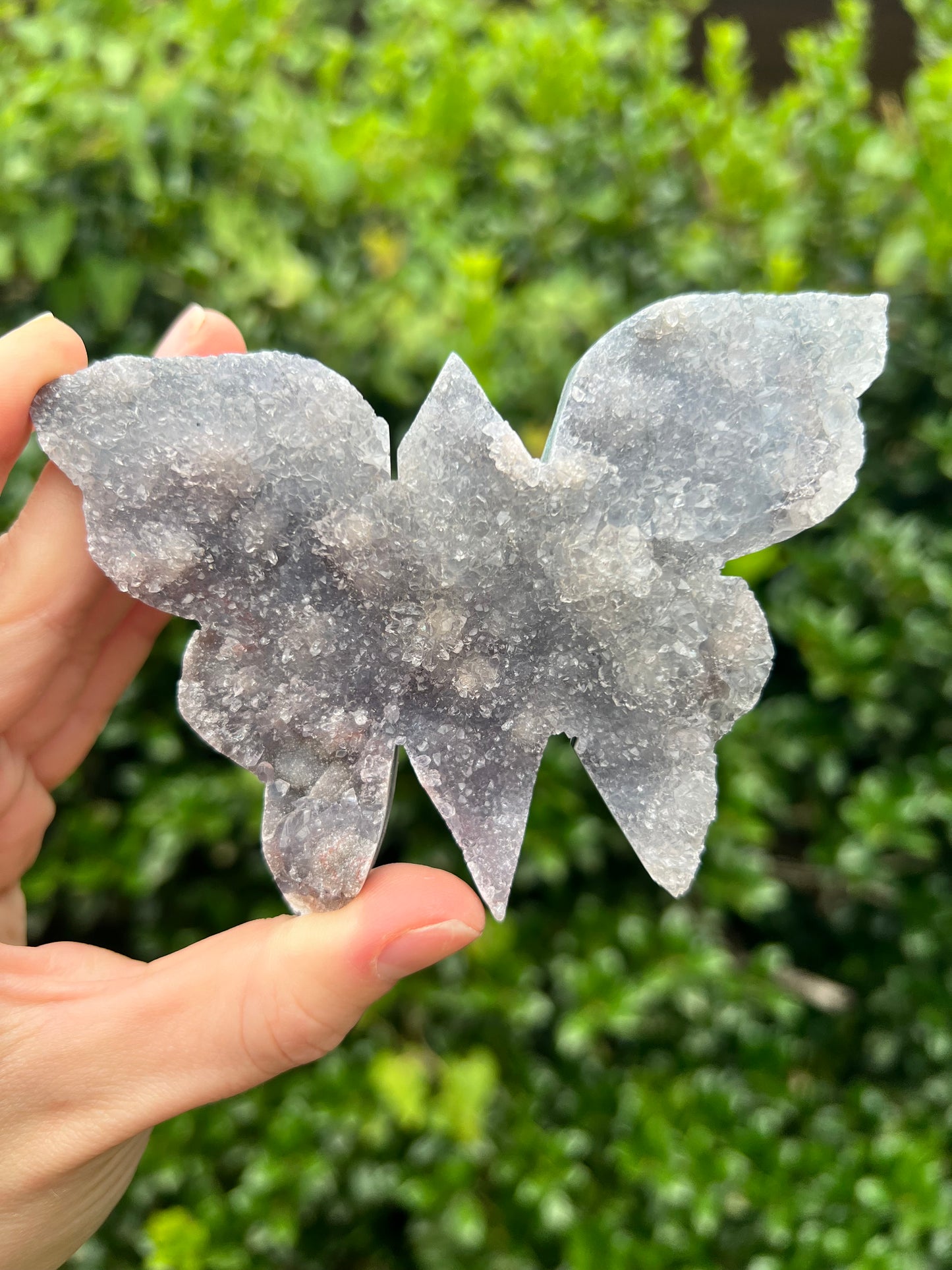 Zeolite Butterflies