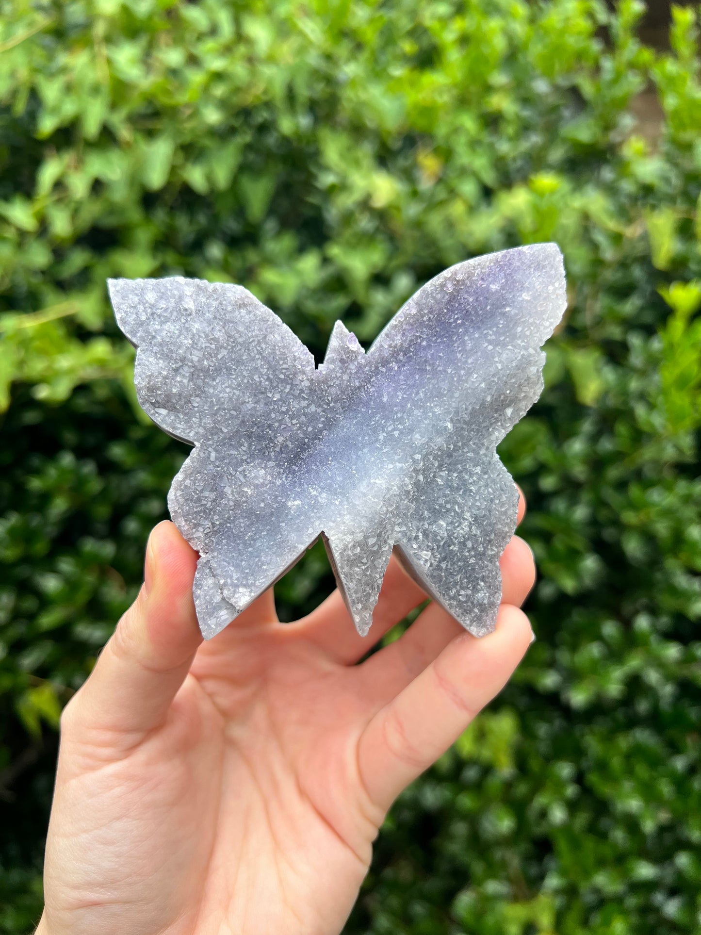 Zeolite Butterflies