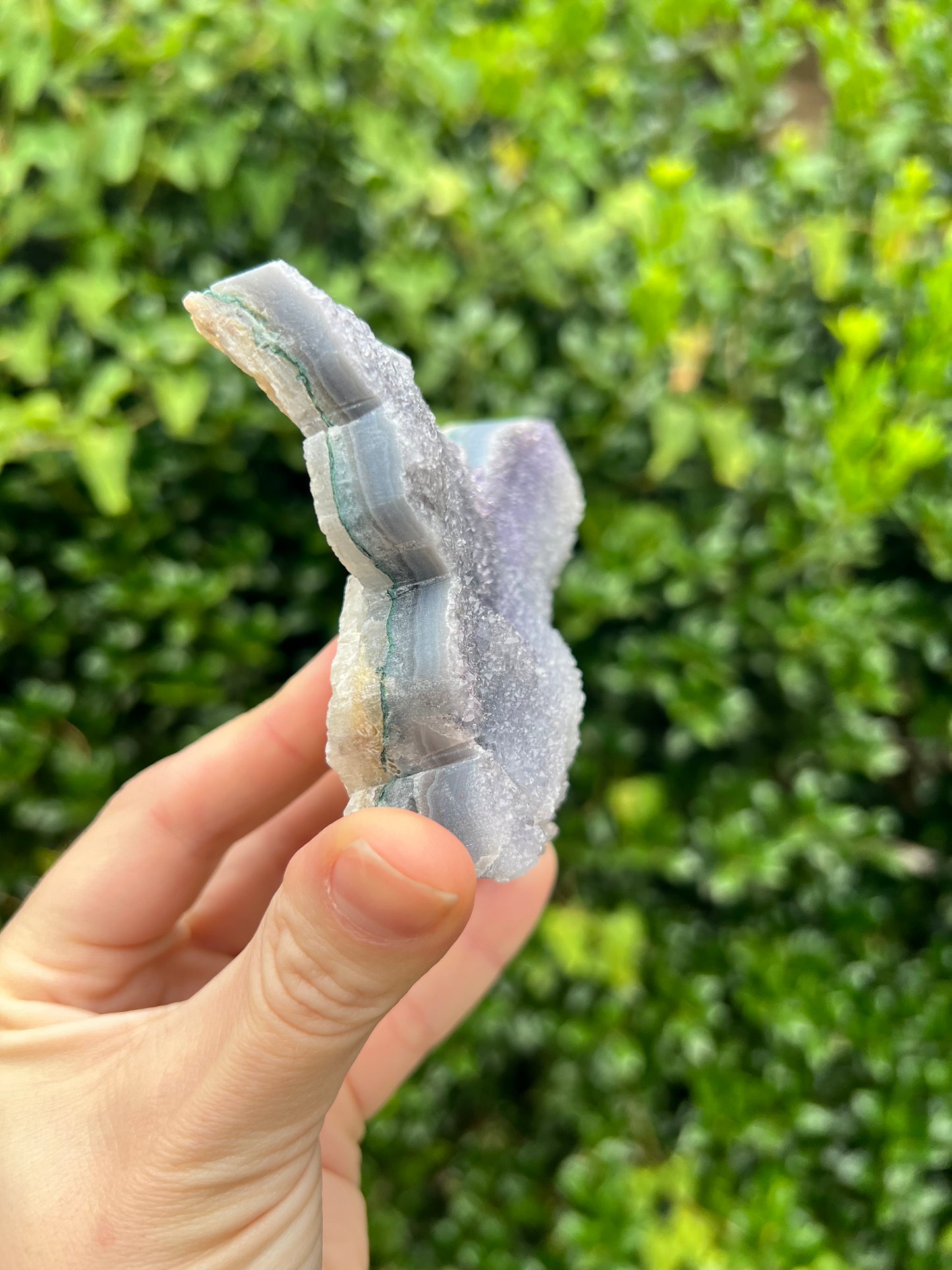 Zeolite Butterflies