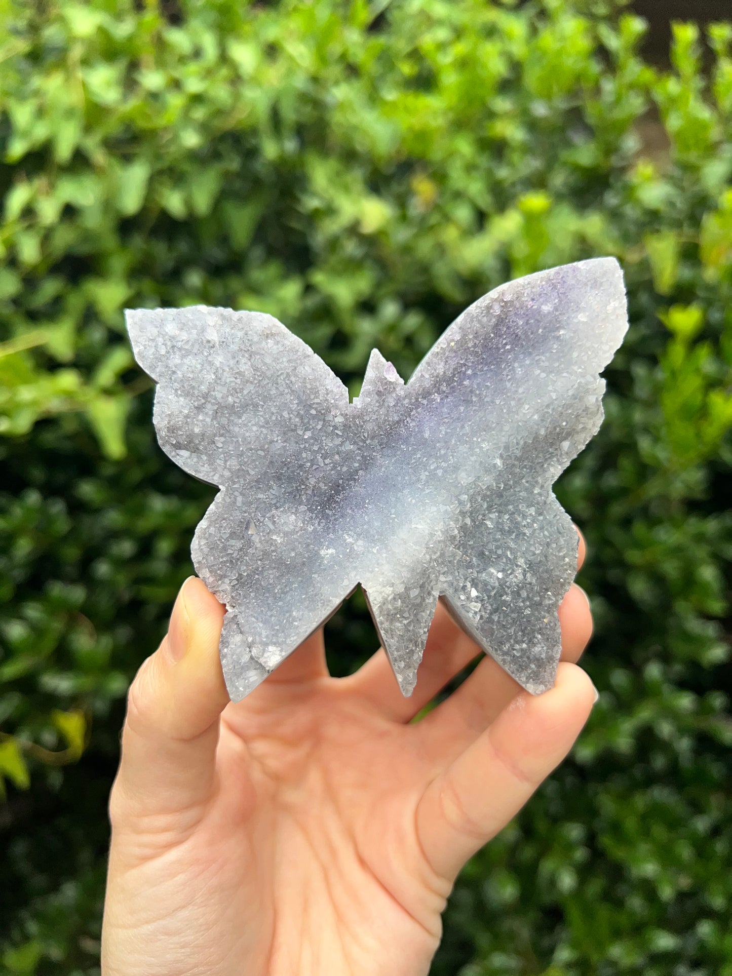 Zeolite Butterflies