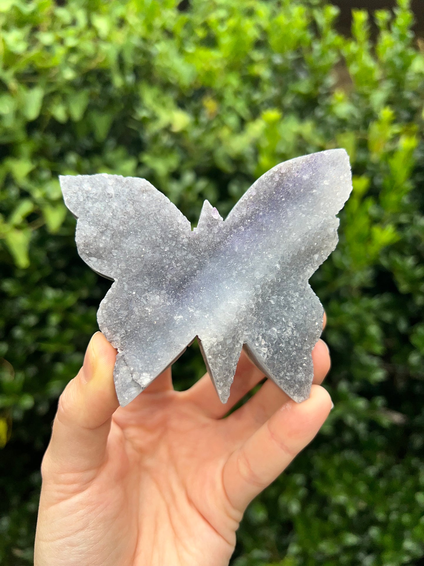 Zeolite Butterflies